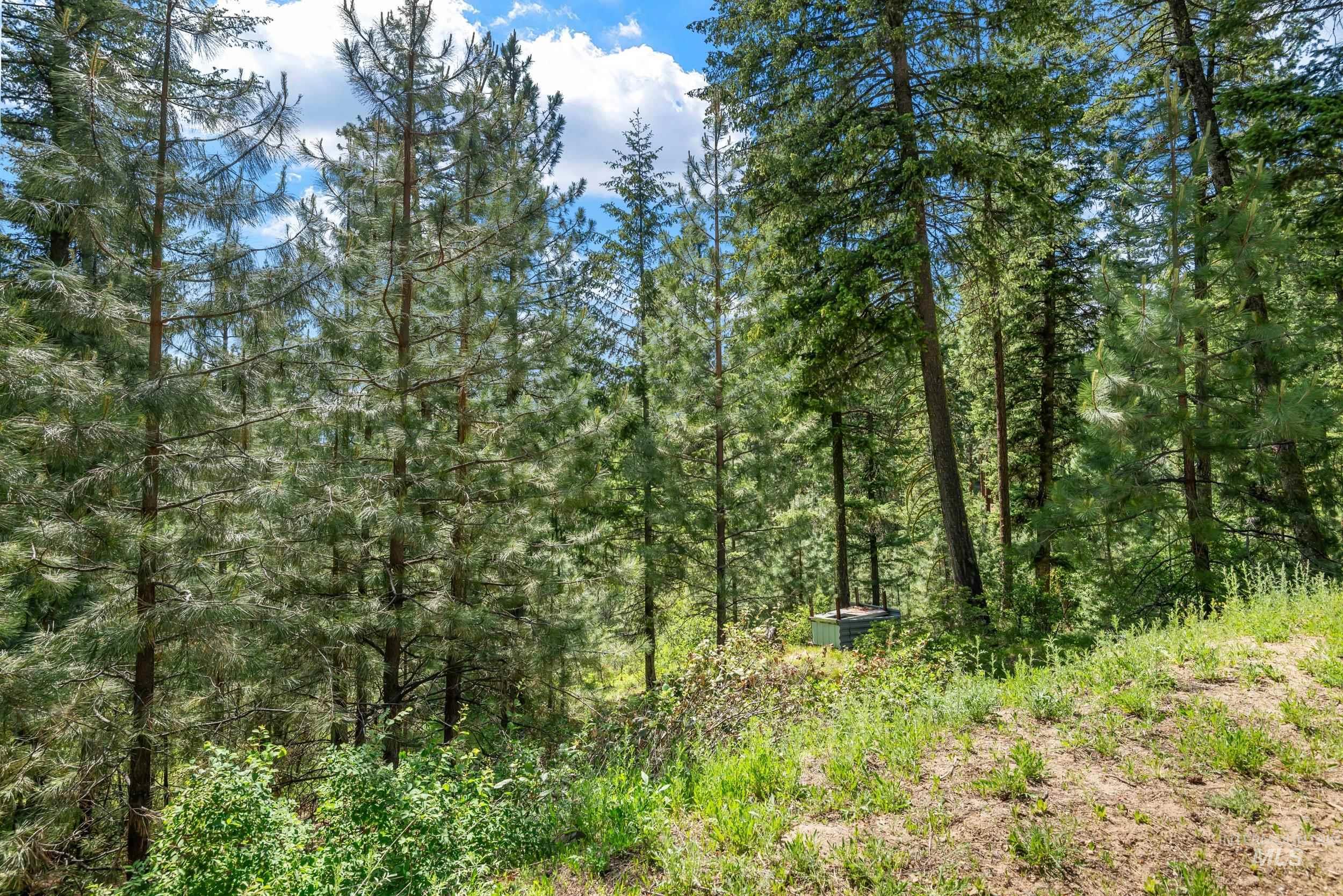 118 Spanish Loop, Idaho City, Idaho 83631, Land For Sale, Price $250,000, 98950768
