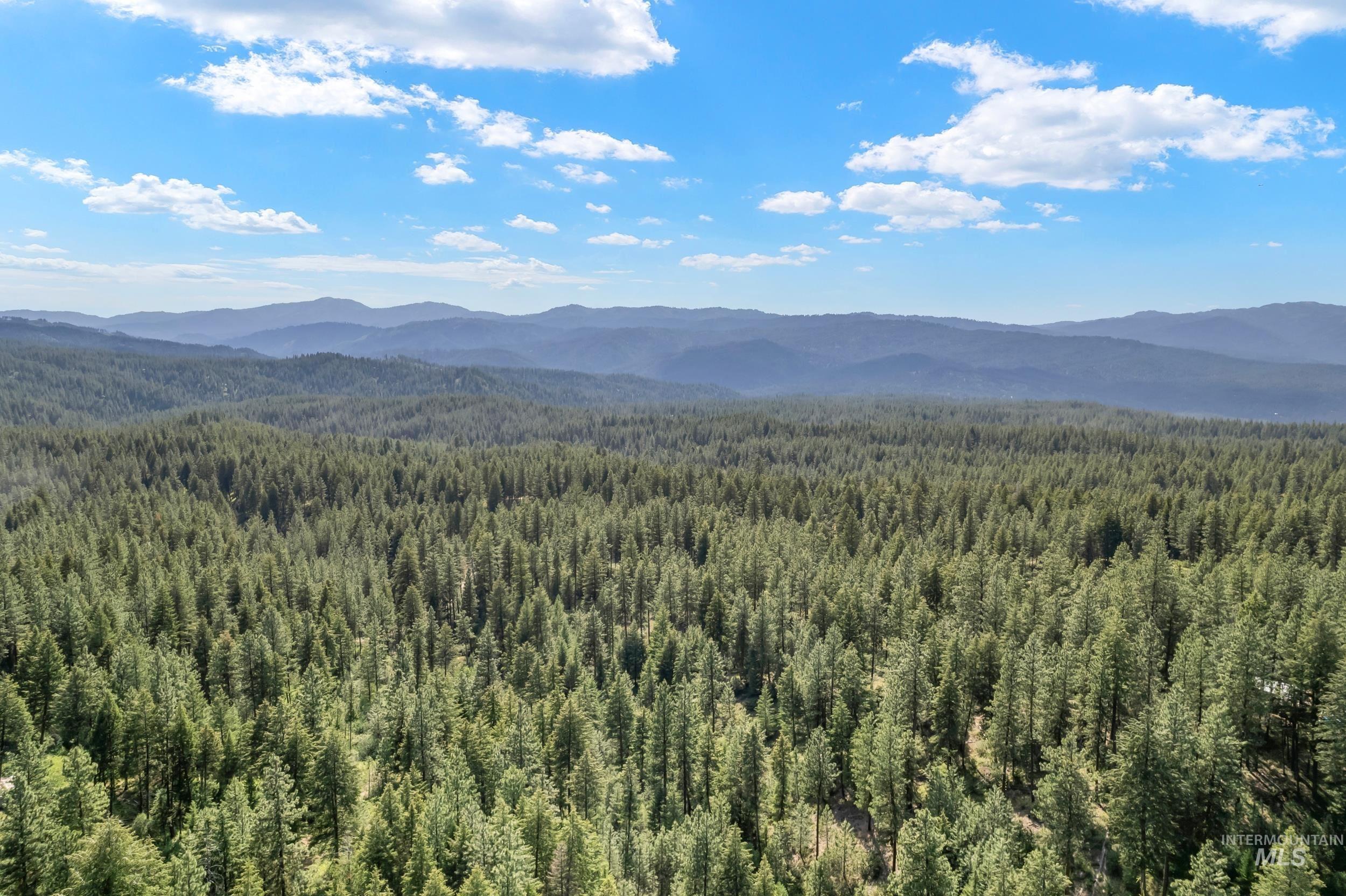 118 Spanish Loop, Idaho City, Idaho 83631, Land For Sale, Price $250,000, 98950768