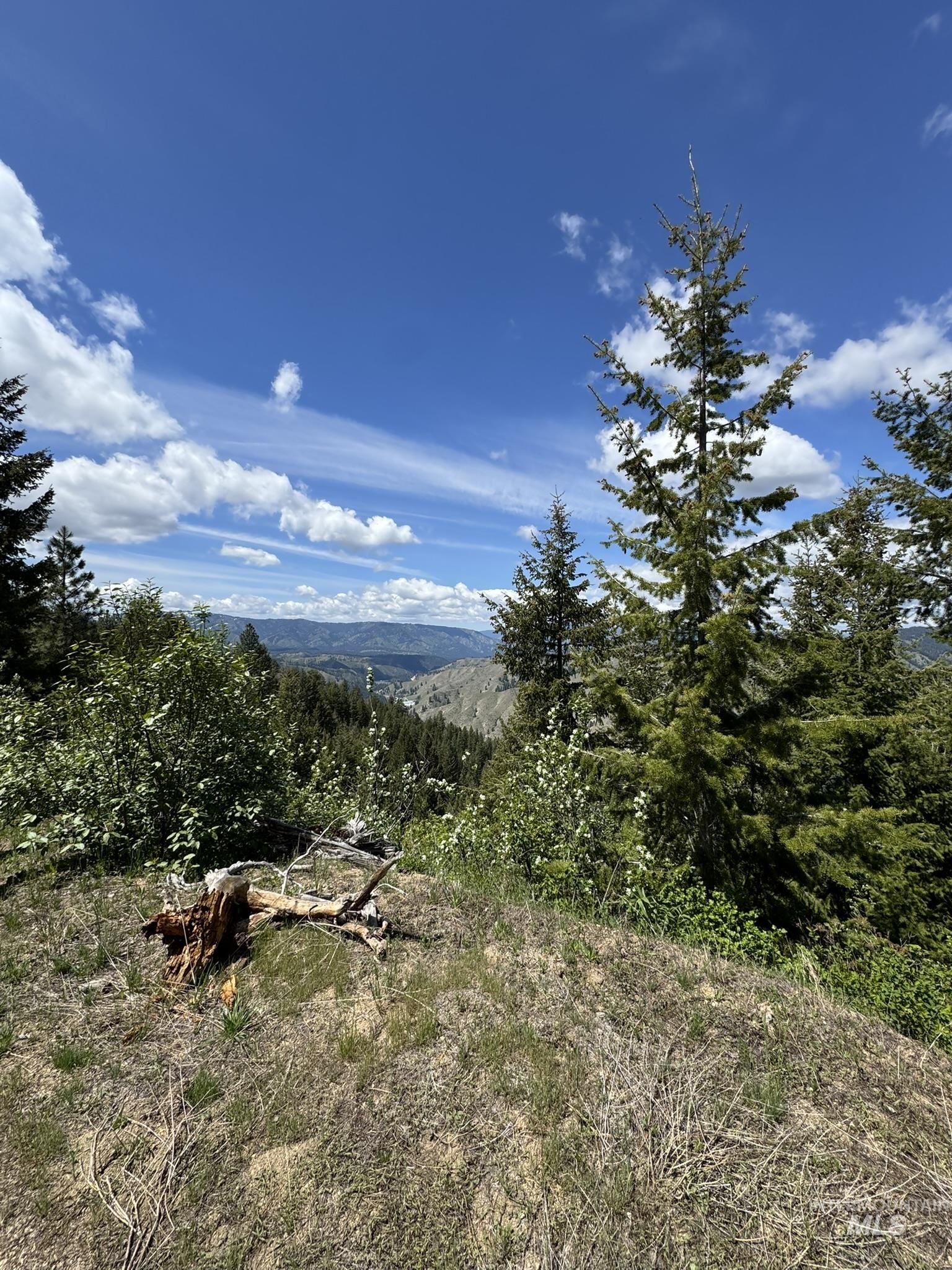 11 Golden Age Mine Rd, Idaho City, Idaho 83631, Land For Sale, Price $6,500,000, 98950769