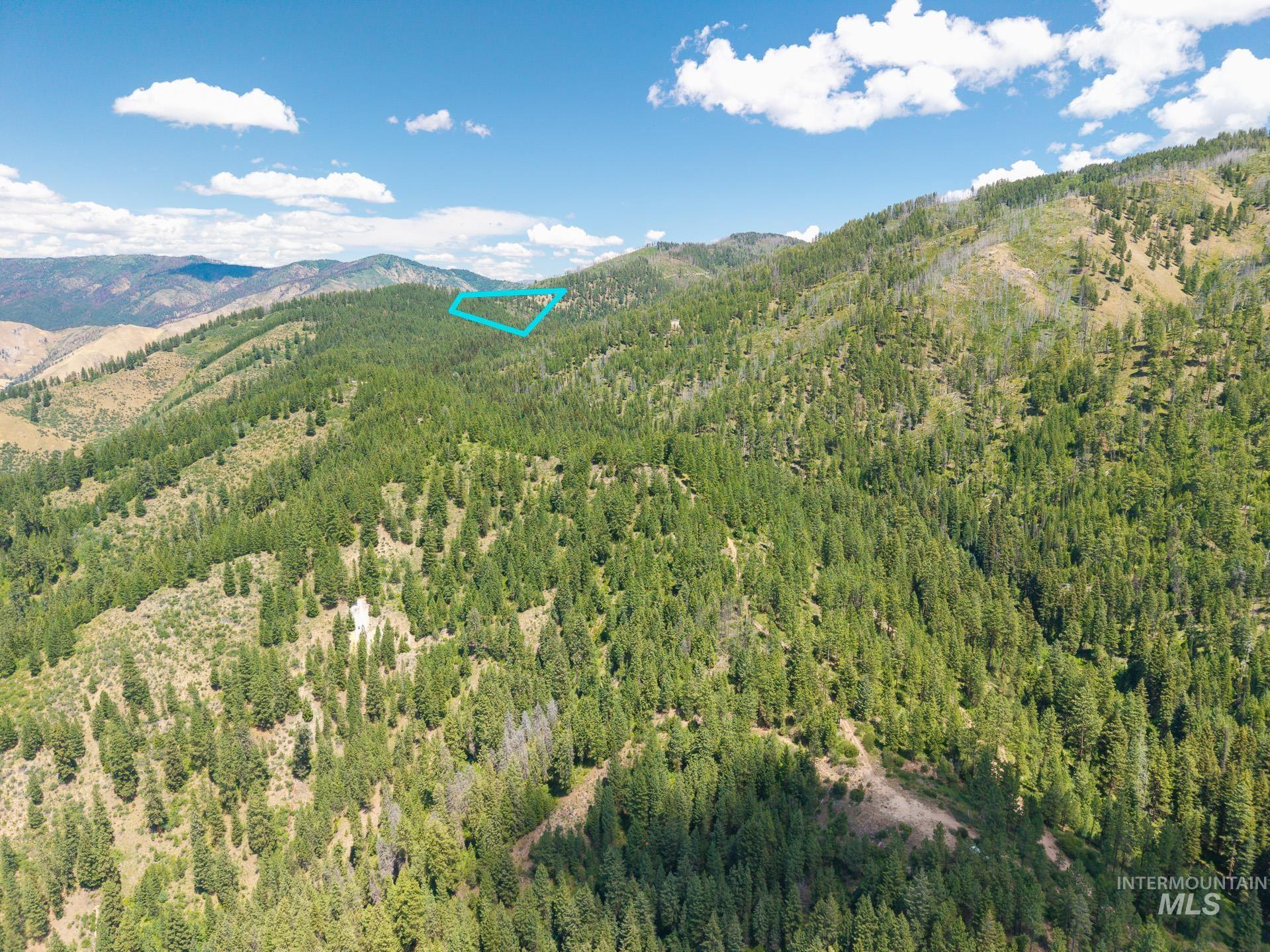 Drone / aerial view of a mountain backdrop and a heavily wooded area