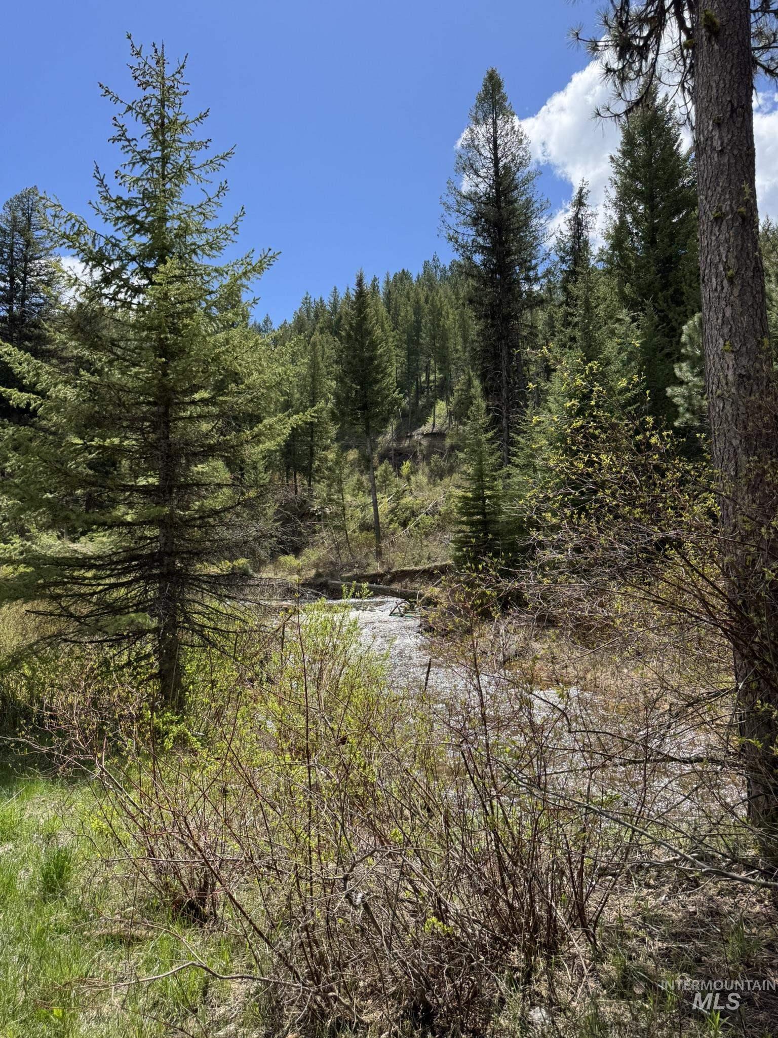 11 Golden Age Mine Rd, Idaho City, Idaho 83631, Land For Sale, Price $6,500,000, 98950769