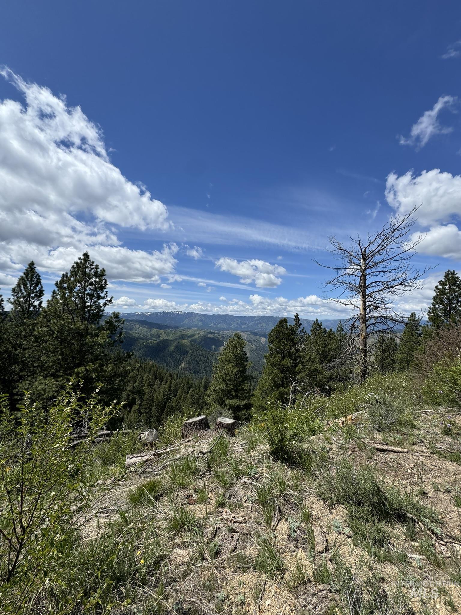 11 Golden Age Mine Rd, Idaho City, Idaho 83631, Land For Sale, Price $6,500,000, 98950769