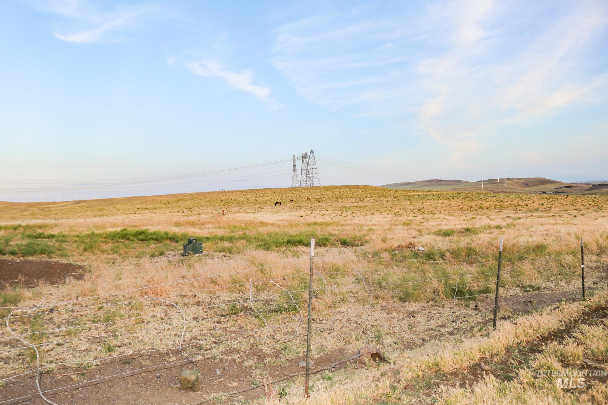 74207 Rhea Lane, Arlington, Oregon 97812, 4 Bedrooms, 2 Bathrooms, Farm & Ranch For Sale, Price $9,000,000, 98950807