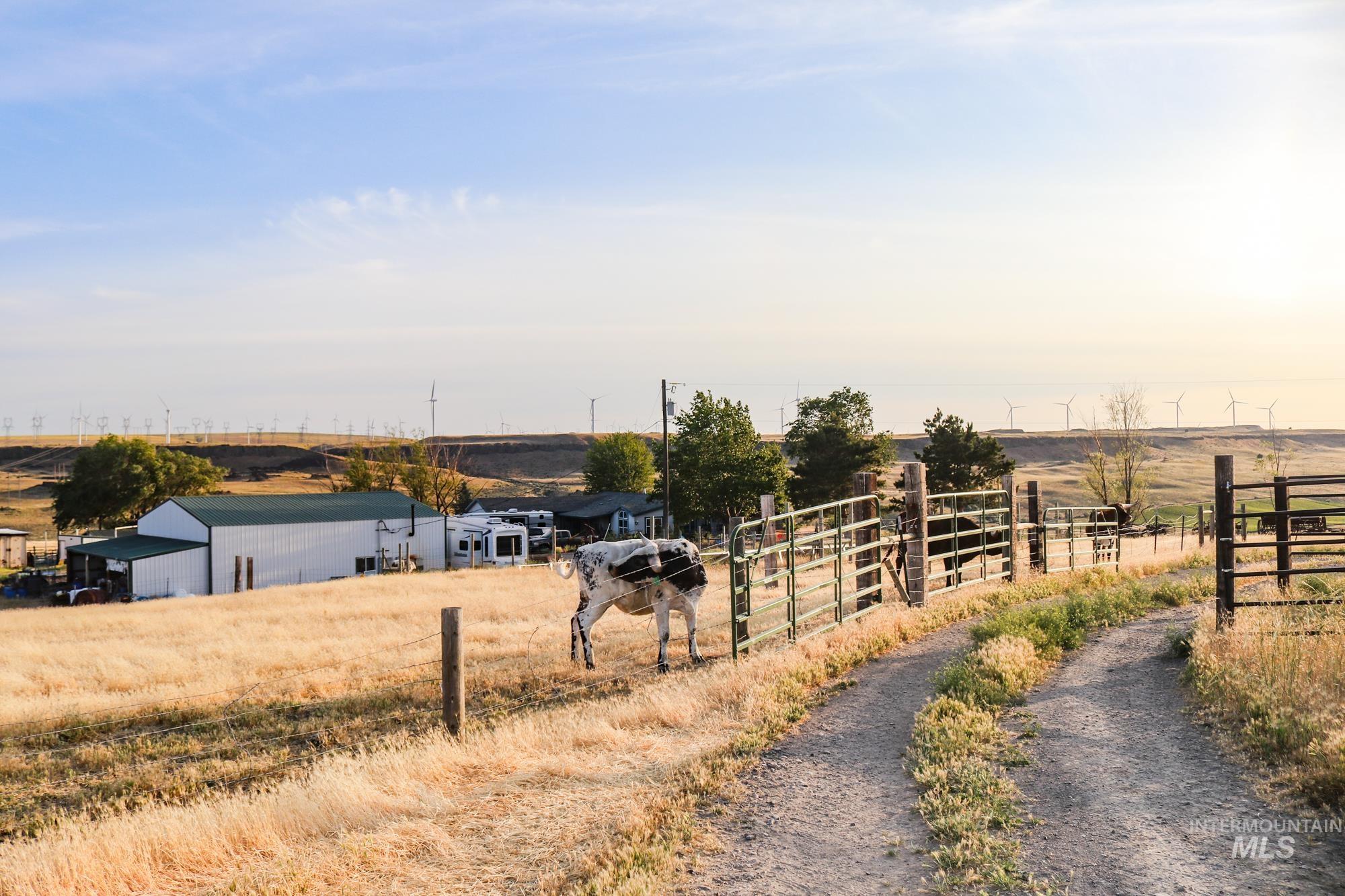 74207 Rhea Lane, Arlington, Oregon 97812, 4 Bedrooms, 2 Bathrooms, Farm & Ranch For Sale, Price $9,000,000, 98950807