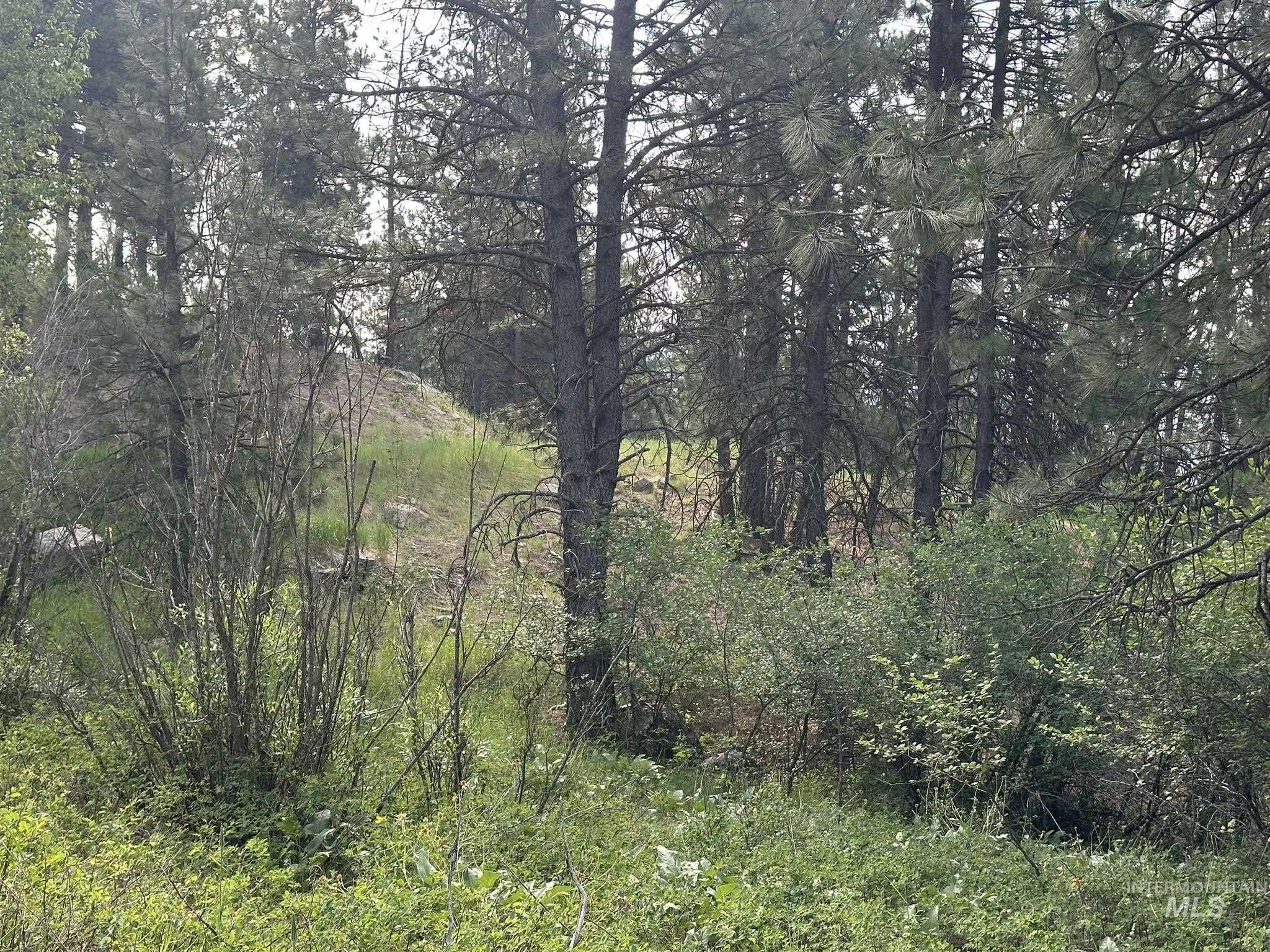TBD White Pine, Garden Valley, Idaho 83622, Land For Sale, Price $214,000, 98950974