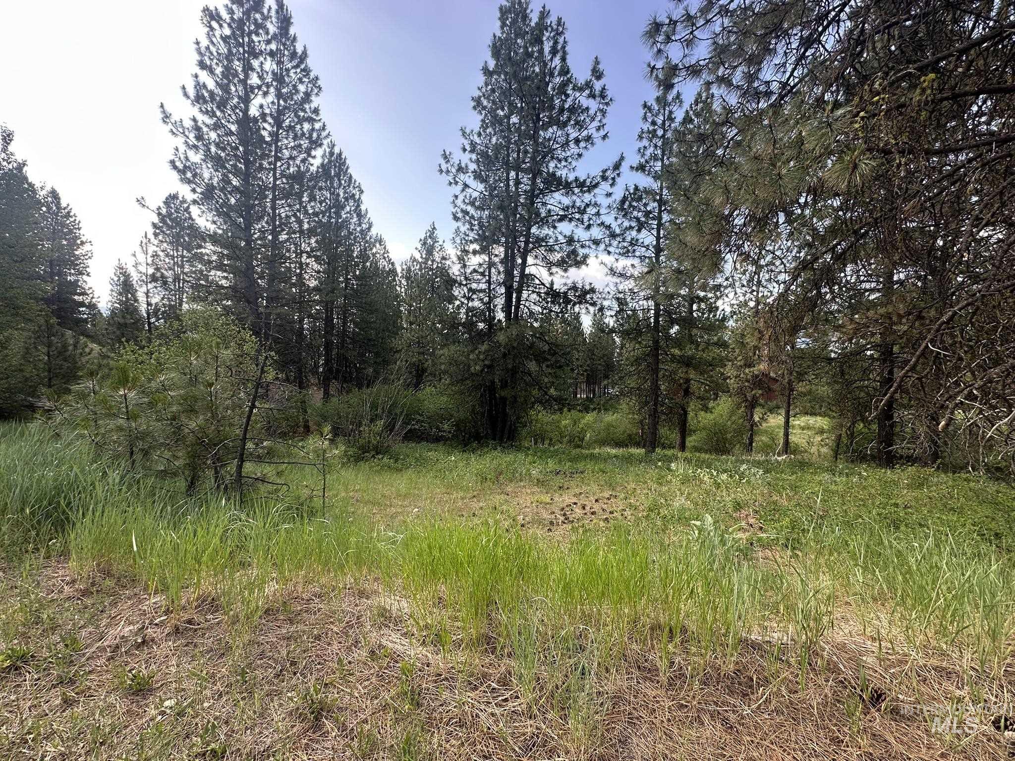 TBD White Pine, Garden Valley, Idaho 83622, Land For Sale, Price $214,000, 98950974