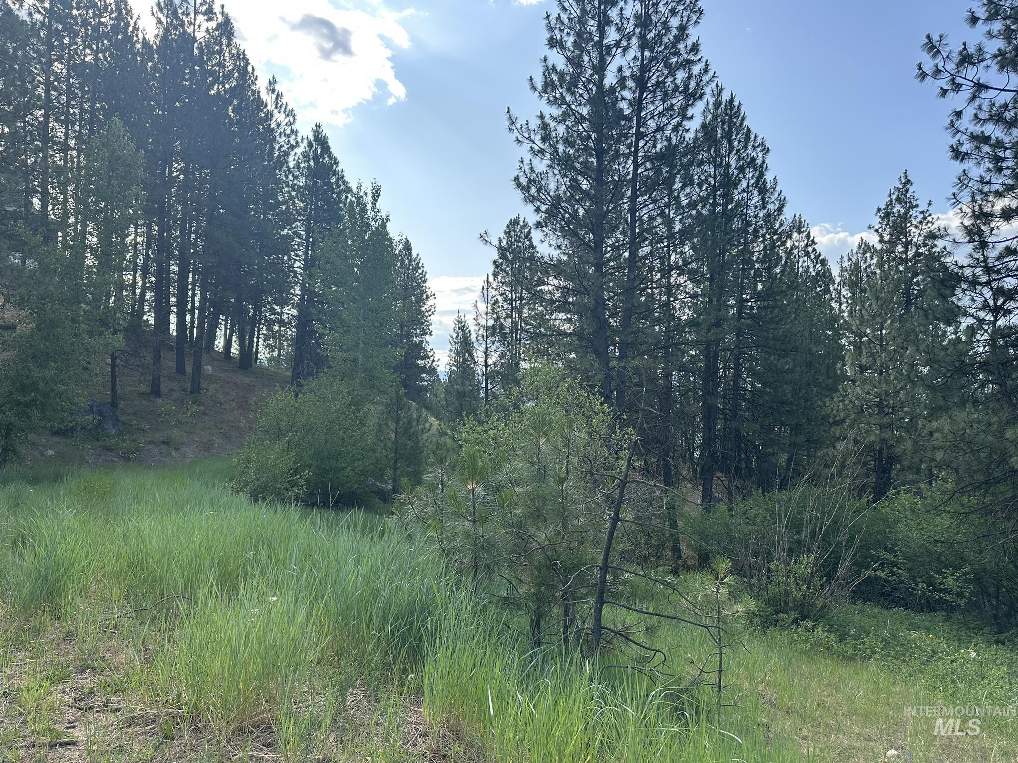 TBD White Pine, Garden Valley, Idaho 83622, Land For Sale, Price $214,000, 98950974