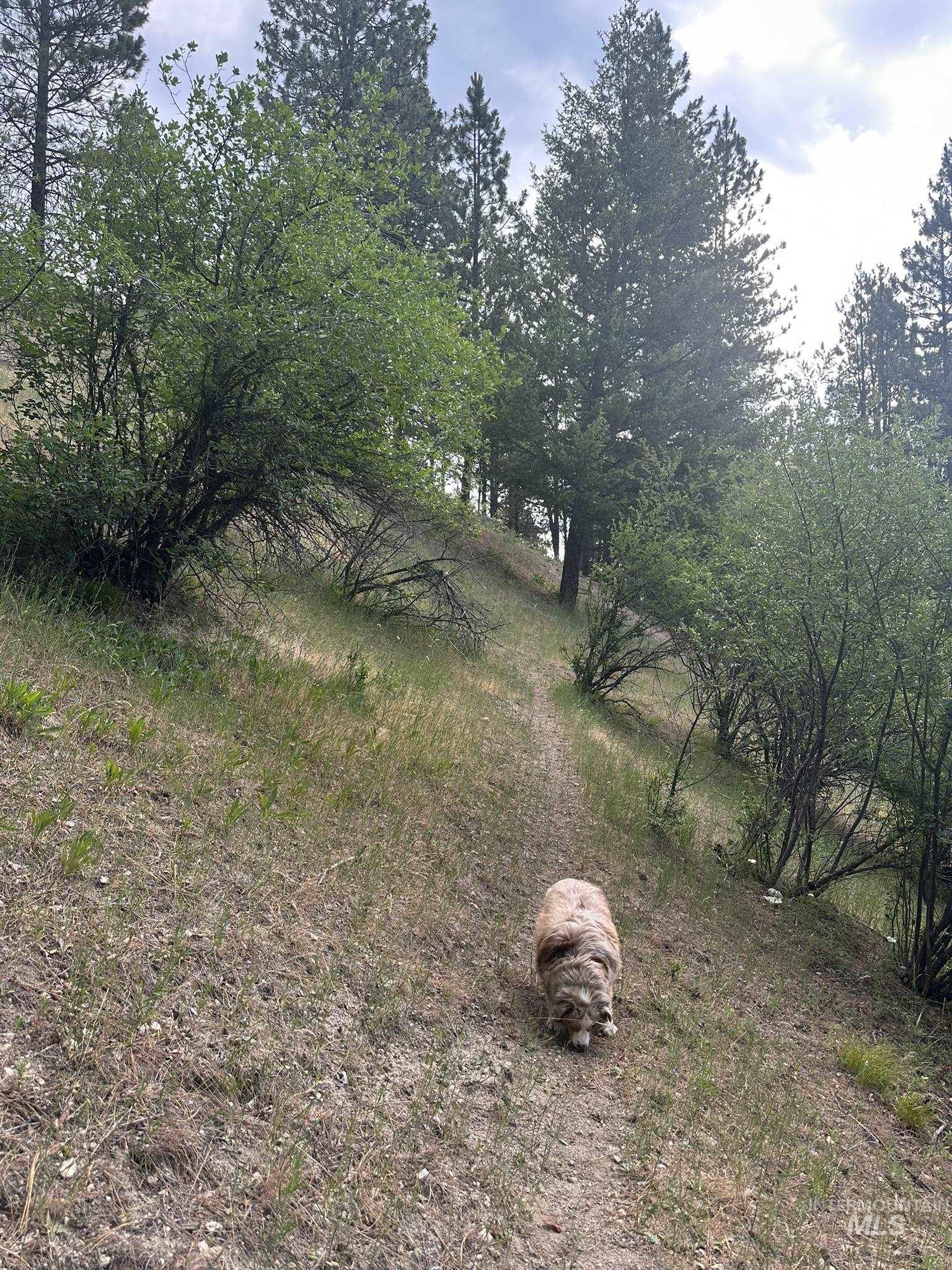 TBD White Pine, Garden Valley, Idaho 83622, Land For Sale, Price $214,000, 98950974