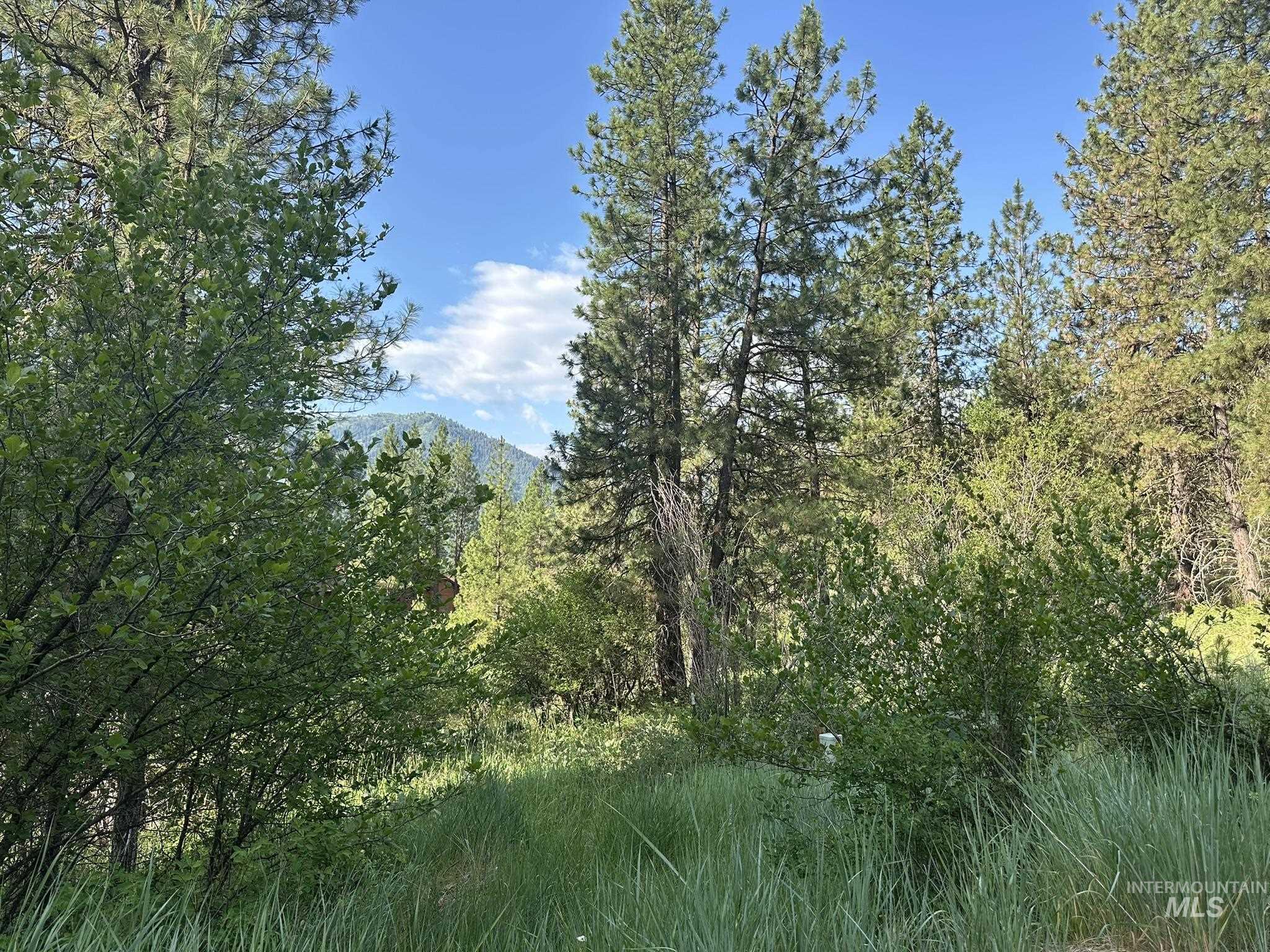 TBD White Pine, Garden Valley, Idaho 83622, Land For Sale, Price $214,000, 98950974