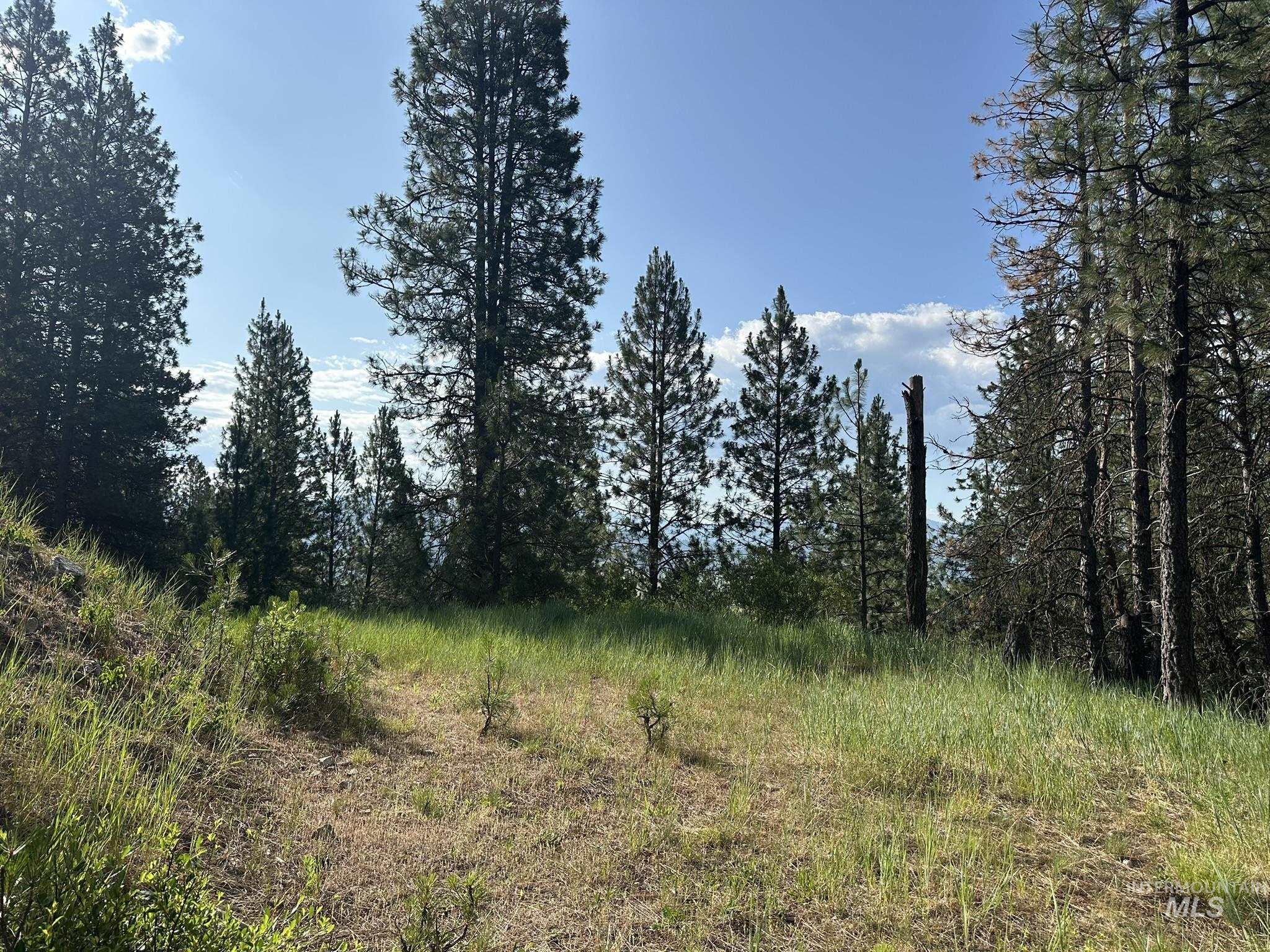 TBD White Pine, Garden Valley, Idaho 83622, Land For Sale, Price $214,000, 98950974