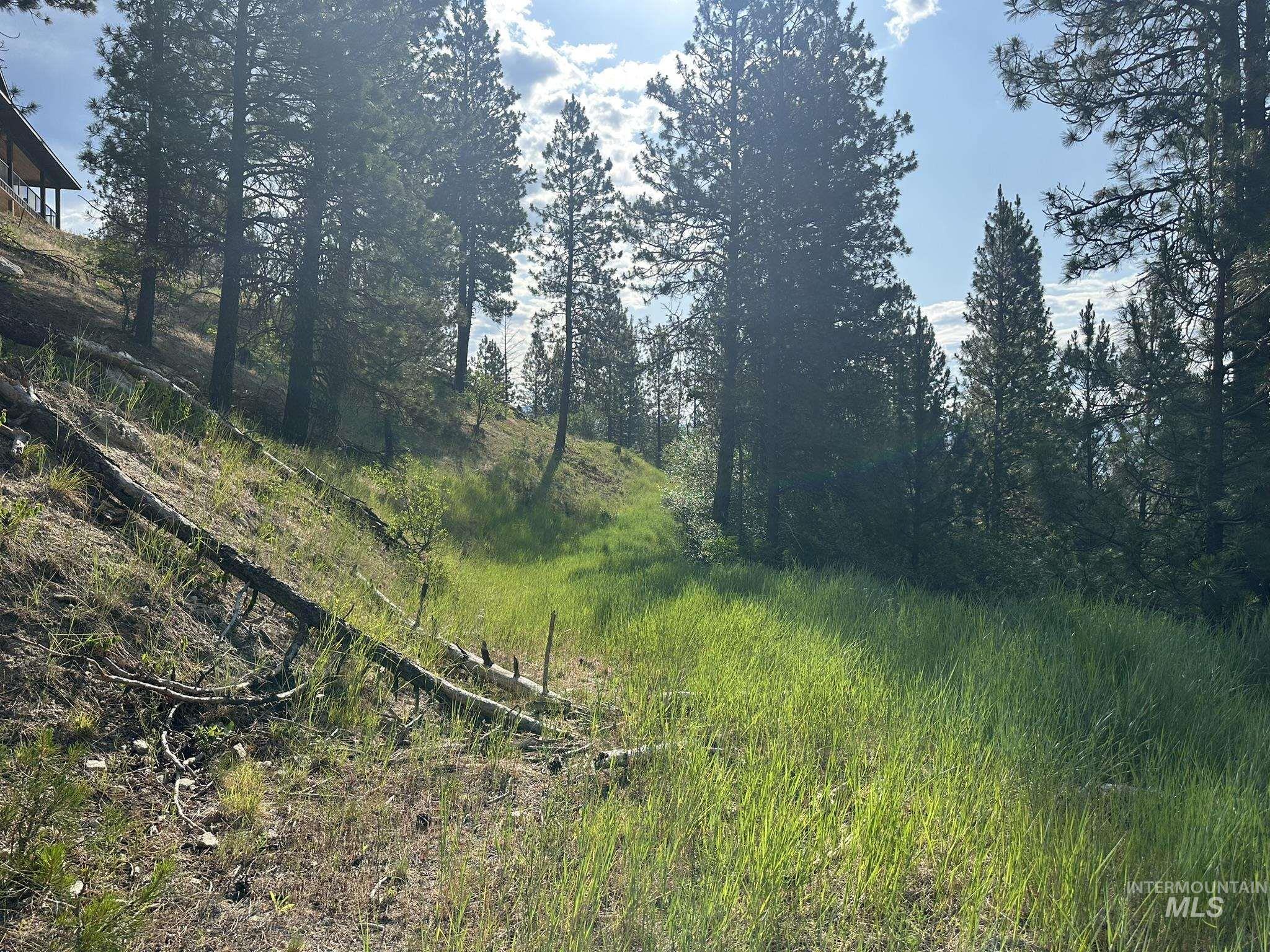 TBD White Pine, Garden Valley, Idaho 83622, Land For Sale, Price $214,000, 98950974