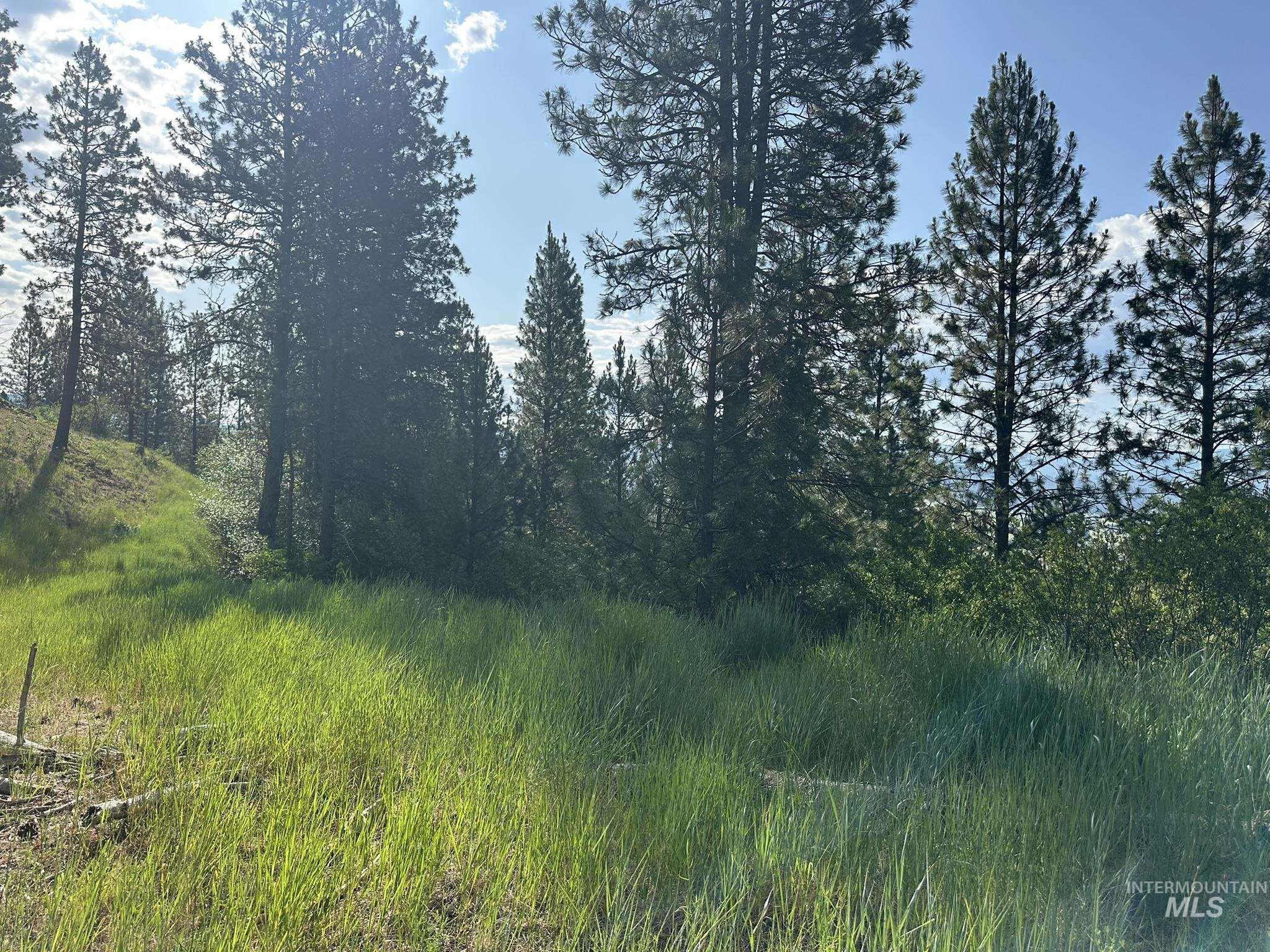 TBD White Pine, Garden Valley, Idaho 83622, Land For Sale, Price $214,000, 98950974