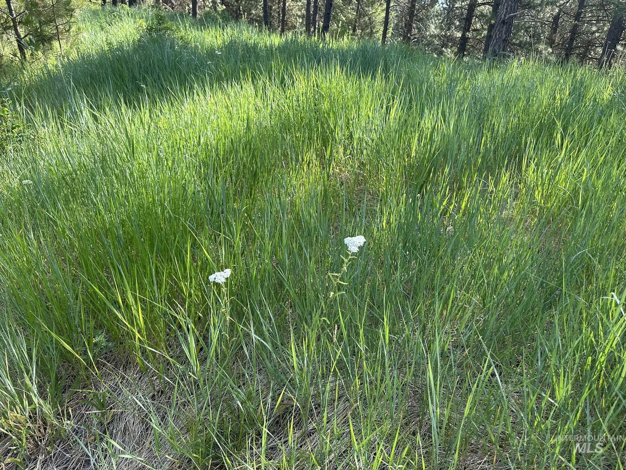 TBD White Pine, Garden Valley, Idaho 83622, Land For Sale, Price $214,000, 98950974