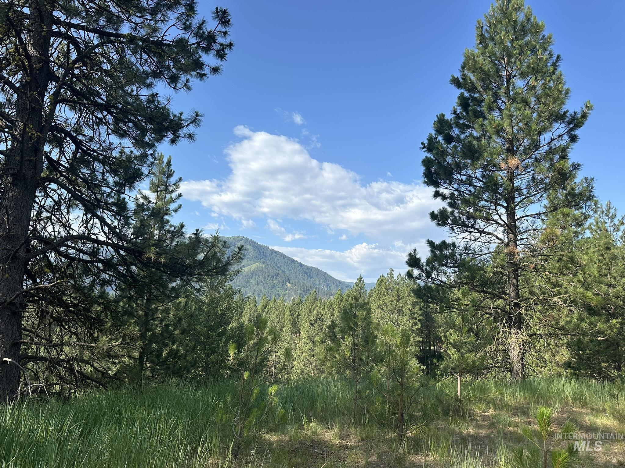 TBD White Pine, Garden Valley, Idaho 83622, Land For Sale, Price $214,000, 98950974