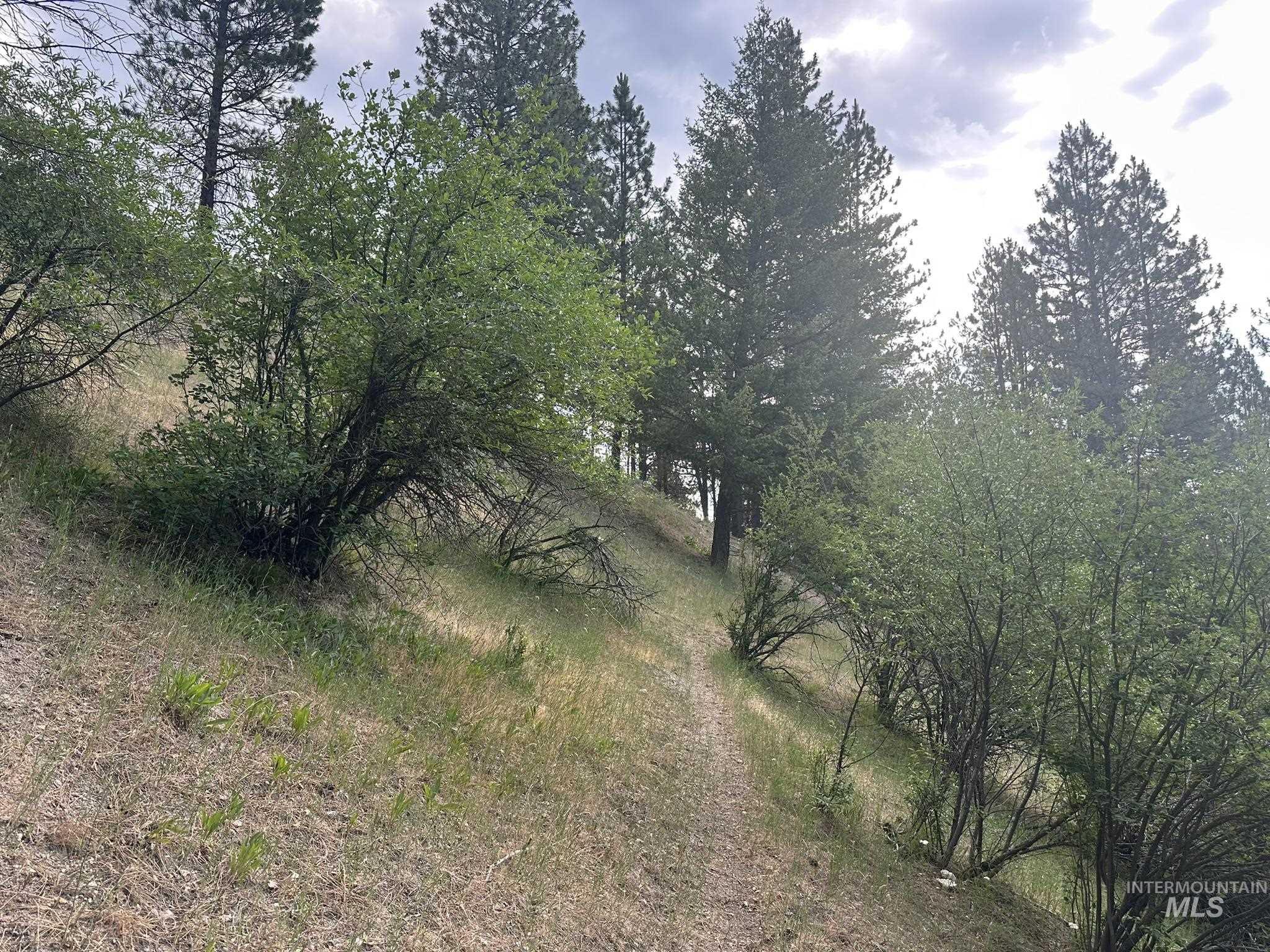 TBD White Pine, Garden Valley, Idaho 83622, Land For Sale, Price $214,000, 98950974