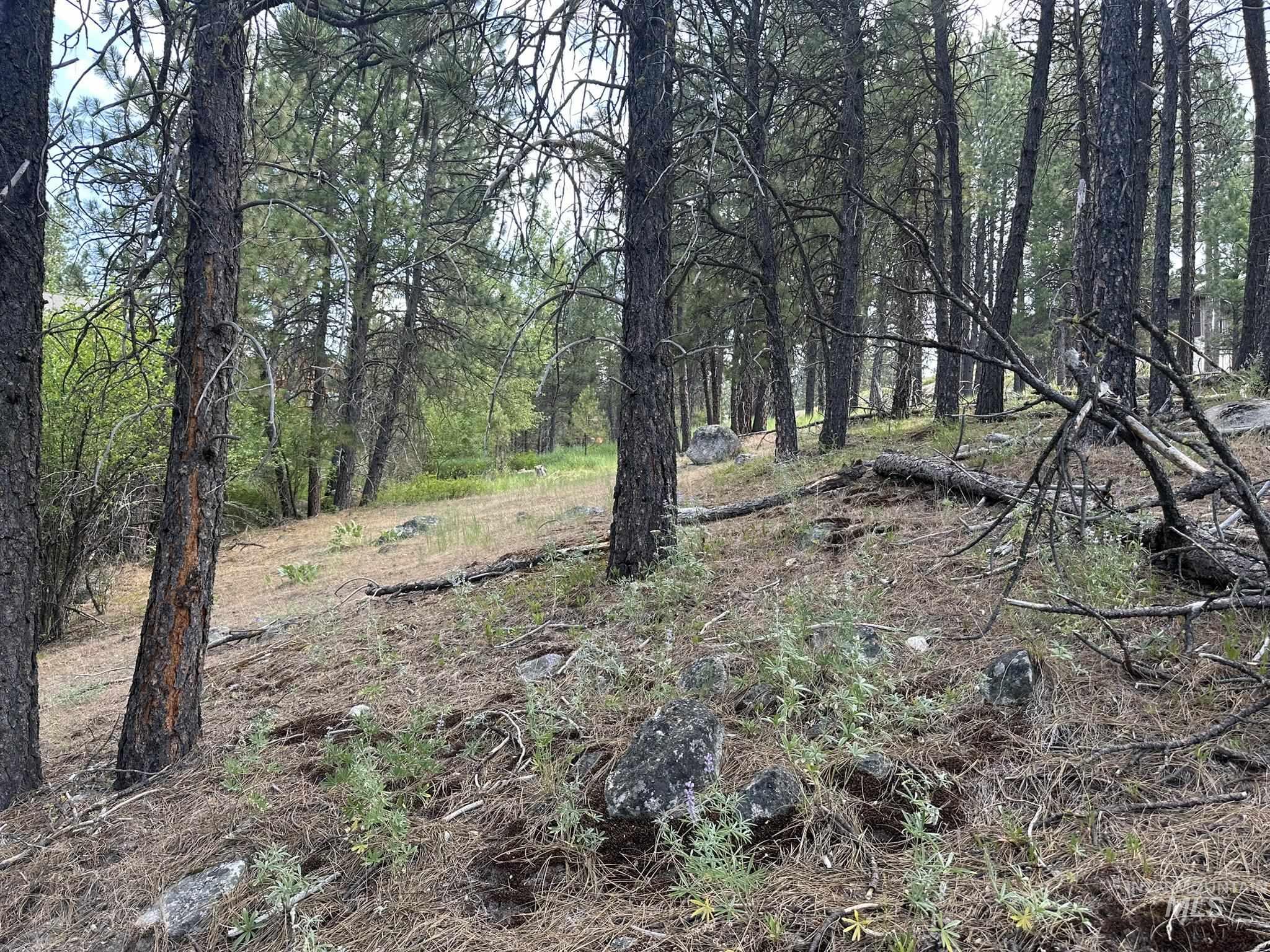 TBD White Pine, Garden Valley, Idaho 83622, Land For Sale, Price $214,000, 98950974