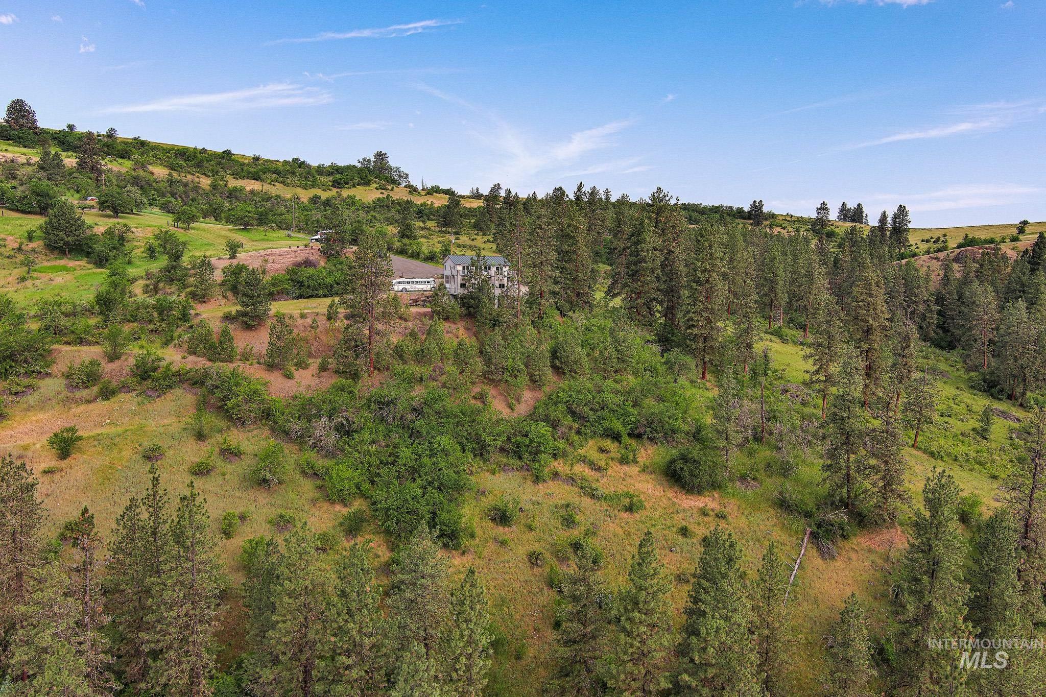 156 Butcher Creek Lane, Grangeville, Idaho 83530, 2 Bedrooms, 1 Bathroom, Residential For Sale, Price $520,000, 98950979