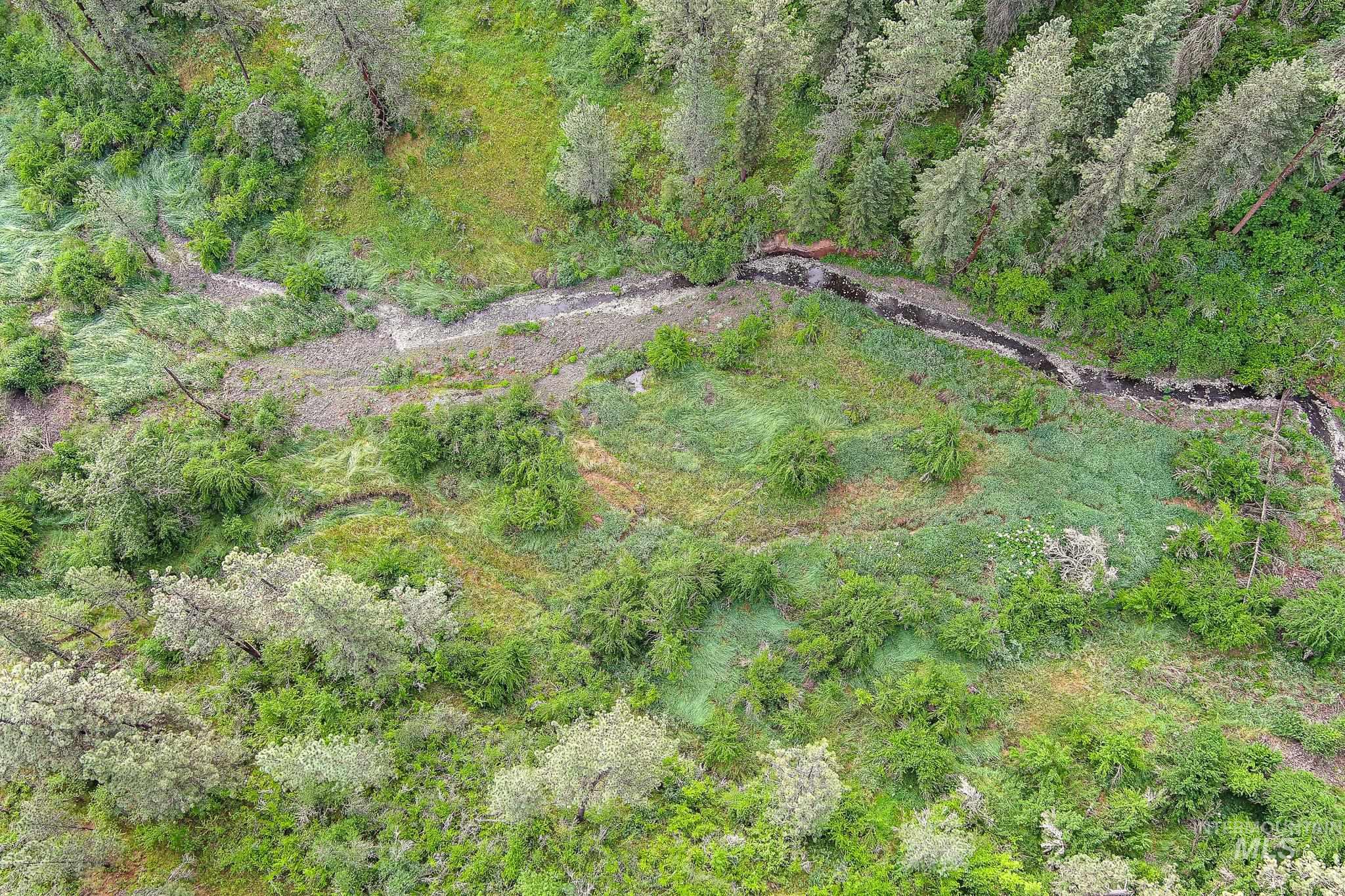 156 Butcher Creek Lane, Grangeville, Idaho 83530, 2 Bedrooms, 1 Bathroom, Residential For Sale, Price $520,000, 98950979