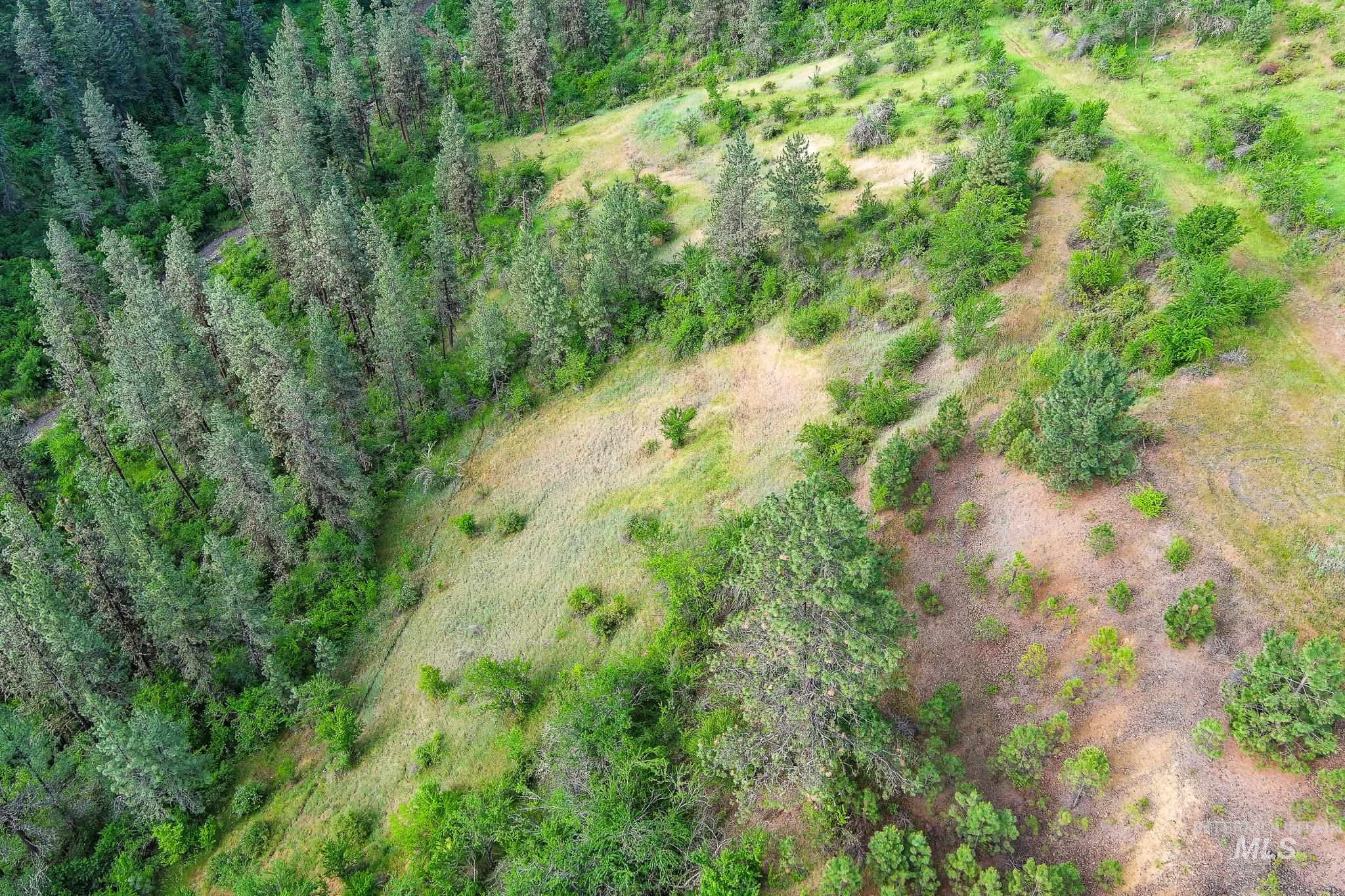 156 Butcher Creek Lane, Grangeville, Idaho 83530, 2 Bedrooms, 1 Bathroom, Residential For Sale, Price $520,000, 98950979