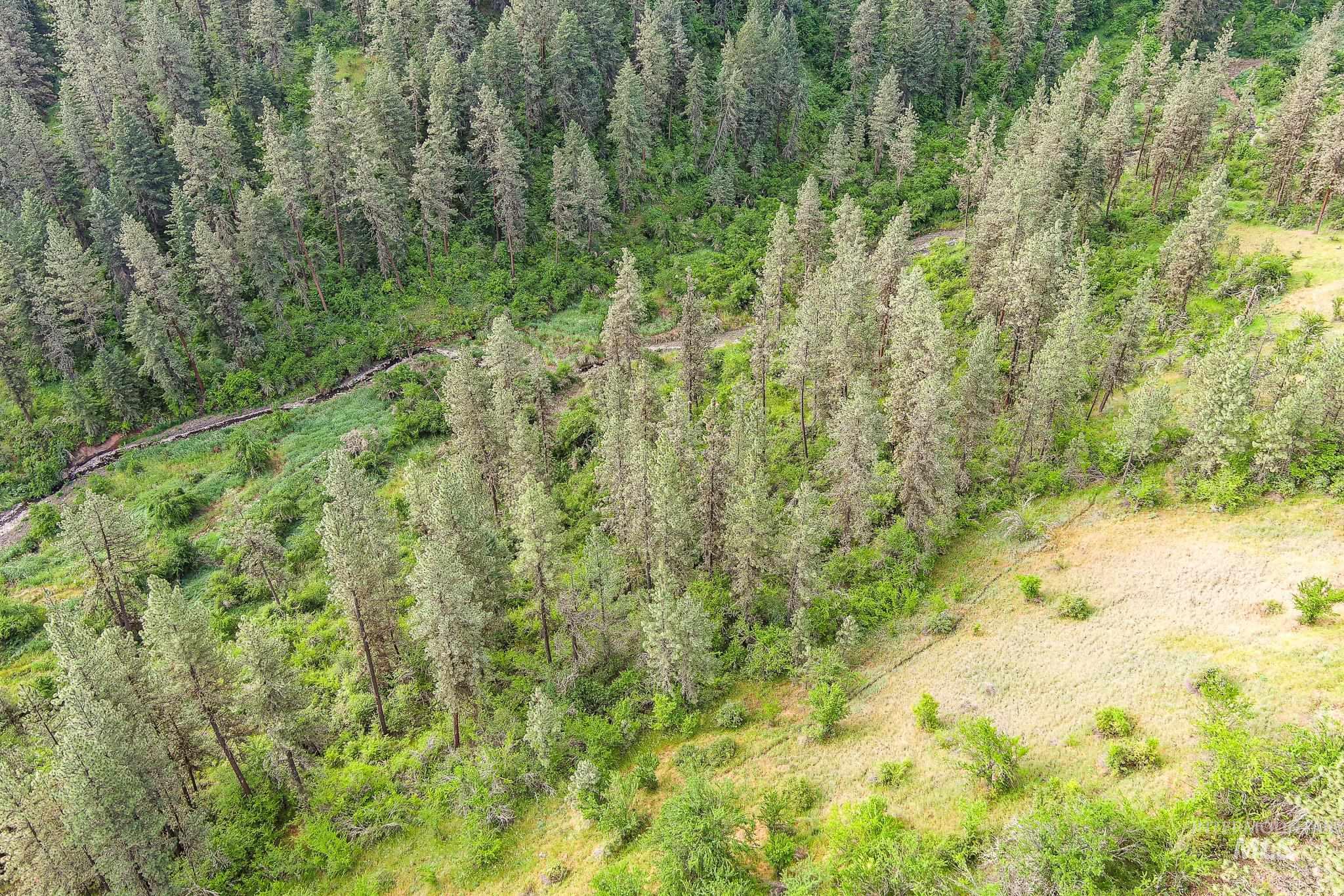 156 Butcher Creek Lane, Grangeville, Idaho 83530, 2 Bedrooms, 1 Bathroom, Residential For Sale, Price $520,000, 98950979