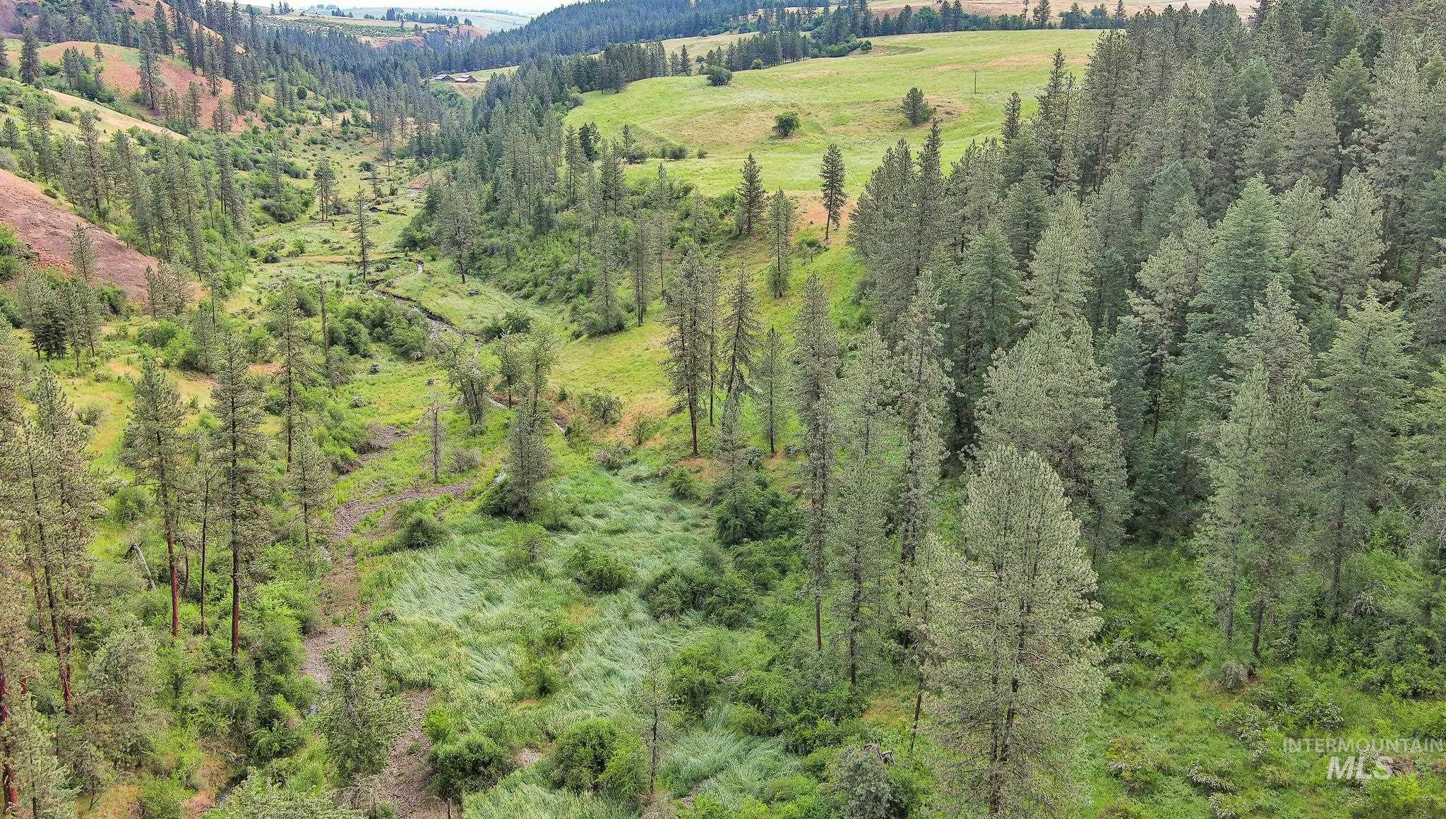 156 Butcher Creek Lane, Grangeville, Idaho 83530, 2 Bedrooms, 1 Bathroom, Residential For Sale, Price $520,000, 98950979