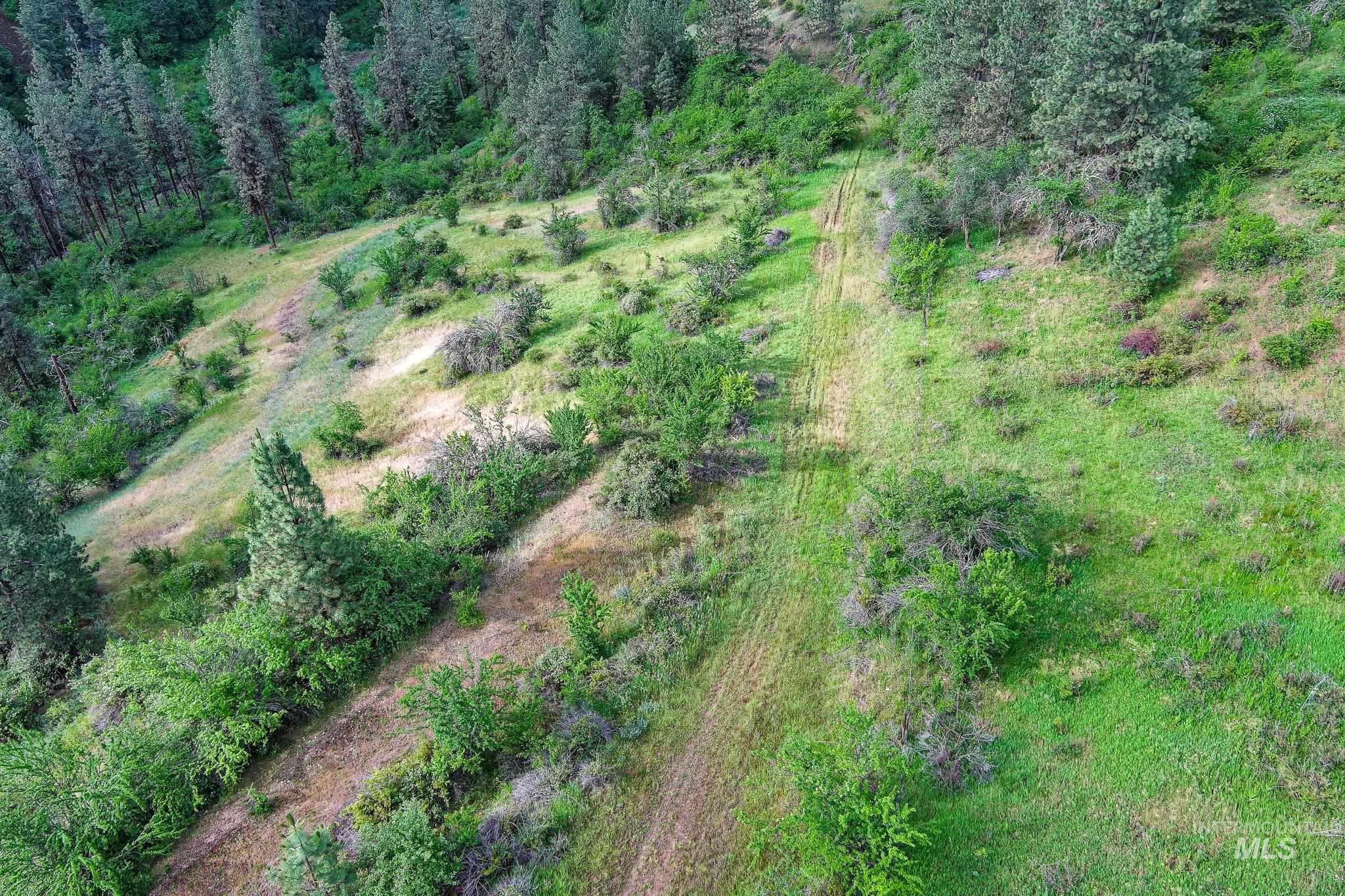 156 Butcher Creek Lane, Grangeville, Idaho 83530, 2 Bedrooms, 1 Bathroom, Residential For Sale, Price $520,000, 98950979