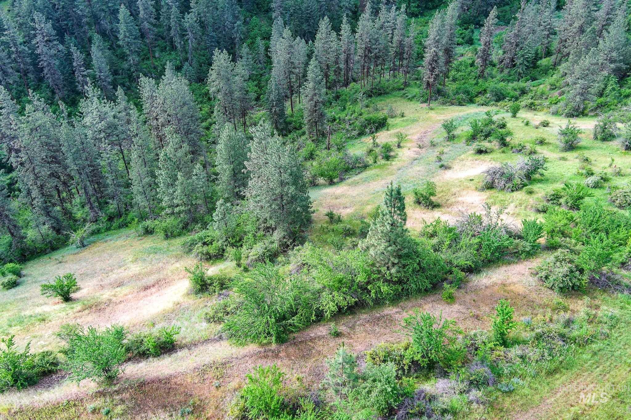 156 Butcher Creek Lane, Grangeville, Idaho 83530, 2 Bedrooms, 1 Bathroom, Residential For Sale, Price $520,000, 98950979