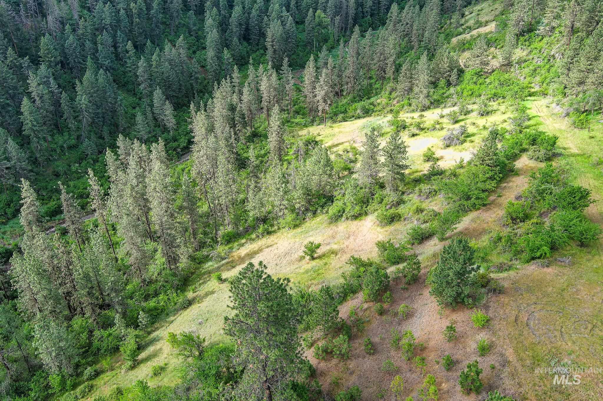 156 Butcher Creek Lane, Grangeville, Idaho 83530, 2 Bedrooms, 1 Bathroom, Residential For Sale, Price $520,000, 98950979