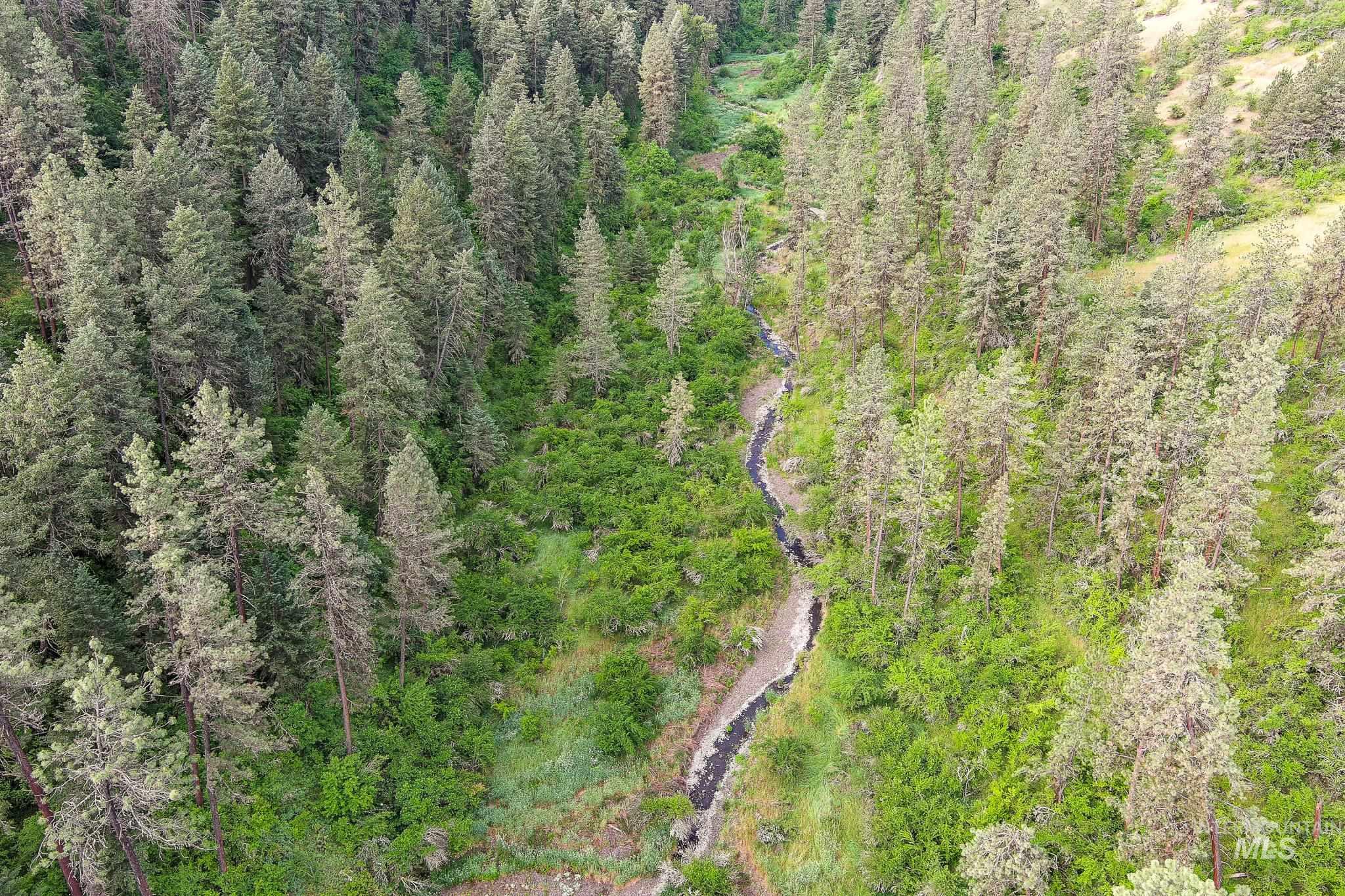 156 Butcher Creek Lane, Grangeville, Idaho 83530, 2 Bedrooms, 1 Bathroom, Residential For Sale, Price $520,000, 98950979