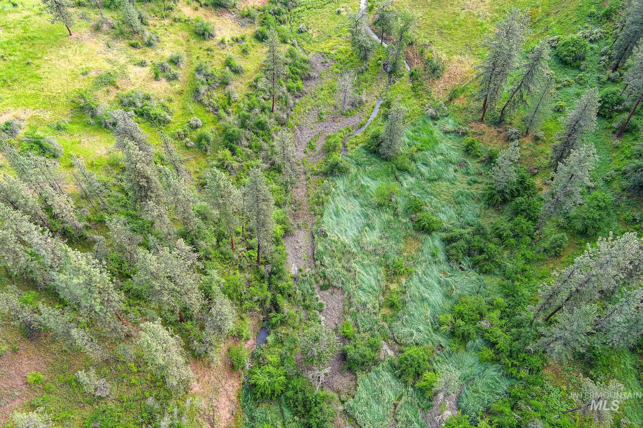 156 Butcher Creek Lane, Grangeville, Idaho 83530, 2 Bedrooms, 1 Bathroom, Residential For Sale, Price $520,000, 98950979