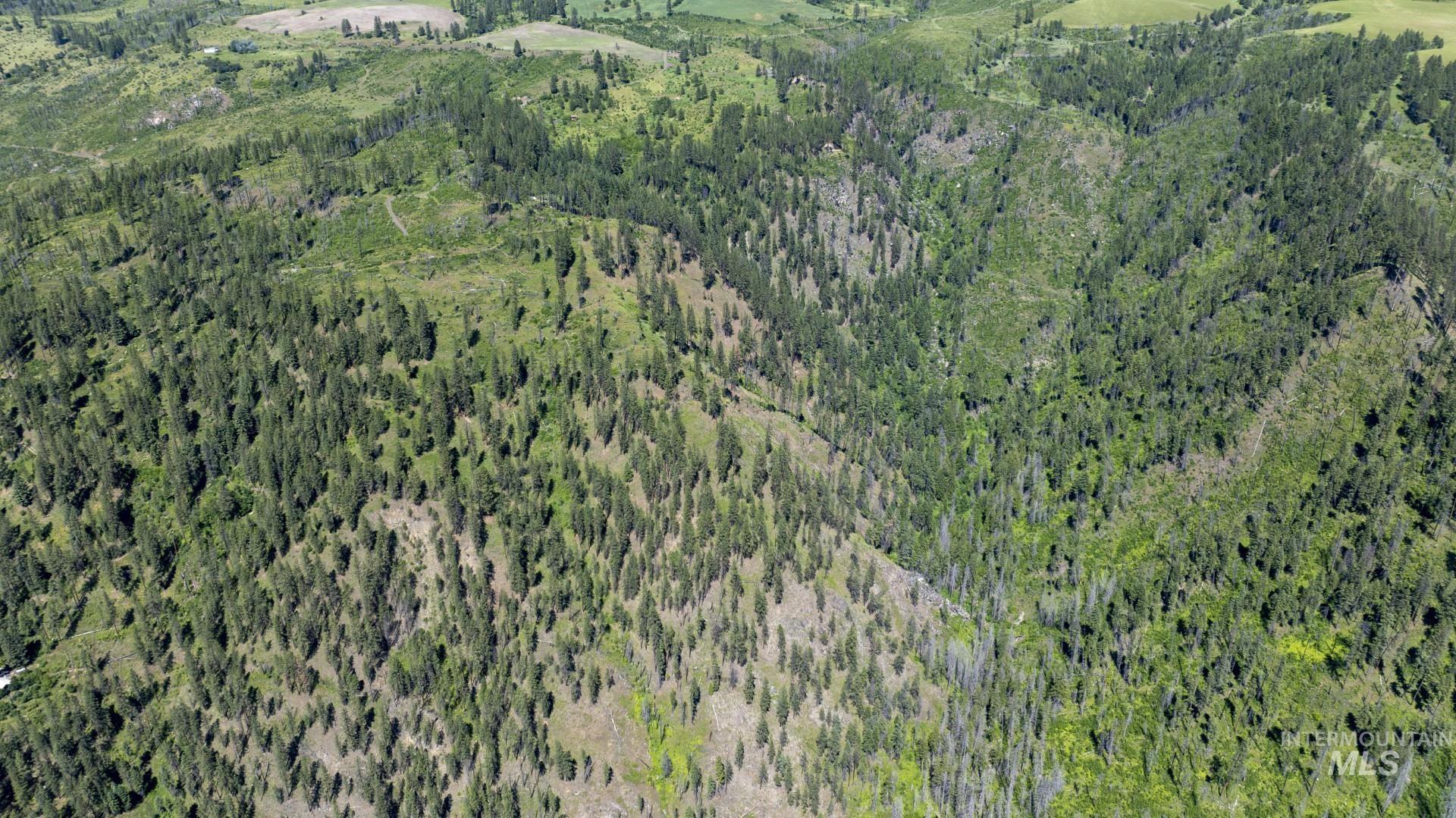 0 Forest Garden Ln, Parcel 4, Weippe, Idaho 83553, Land For Sale, Price $149,900, 98951008