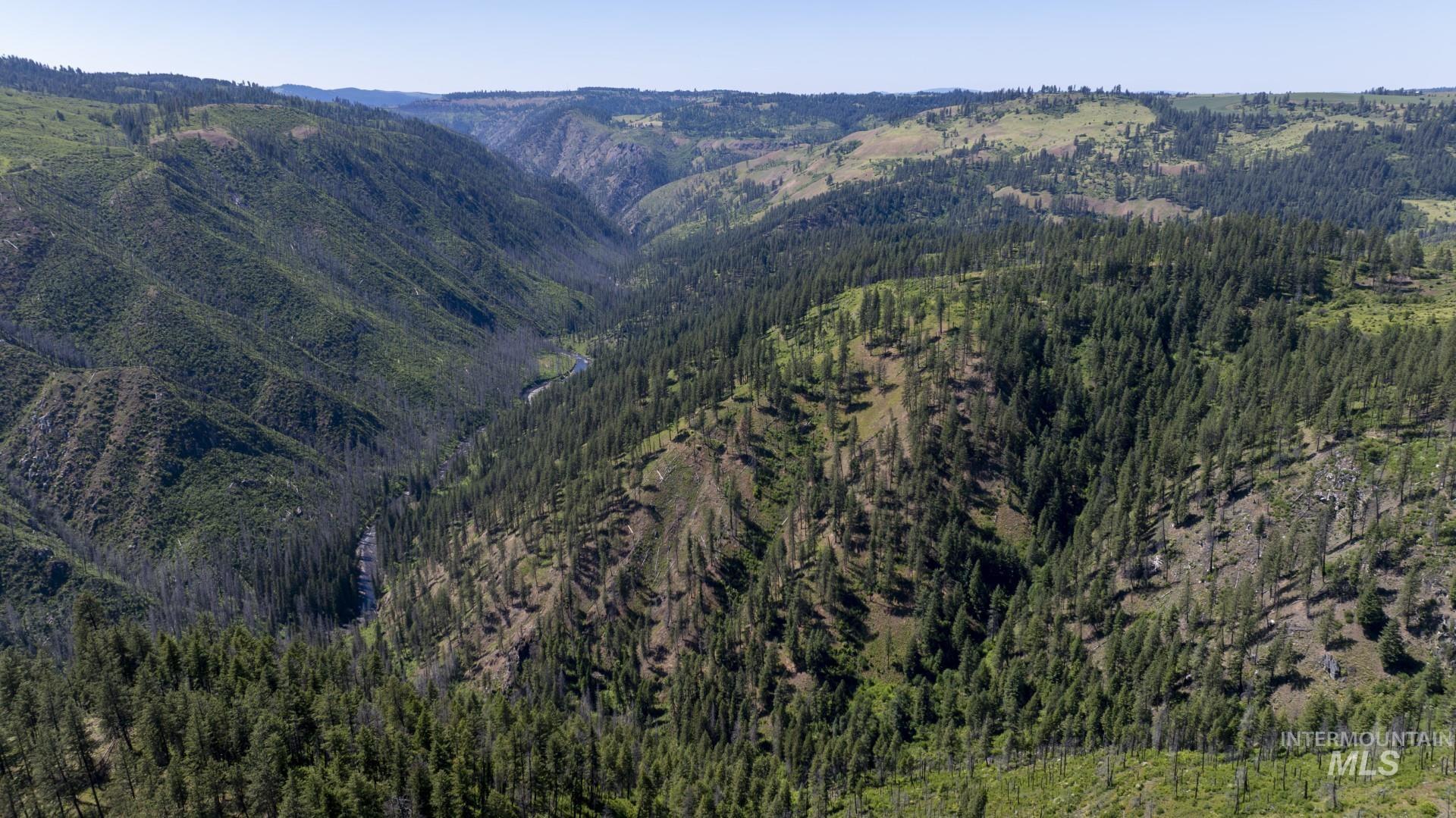 0 Forest Garden Ln, Parcel 4, Weippe, Idaho 83553, Land For Sale, Price $149,900, 98951008