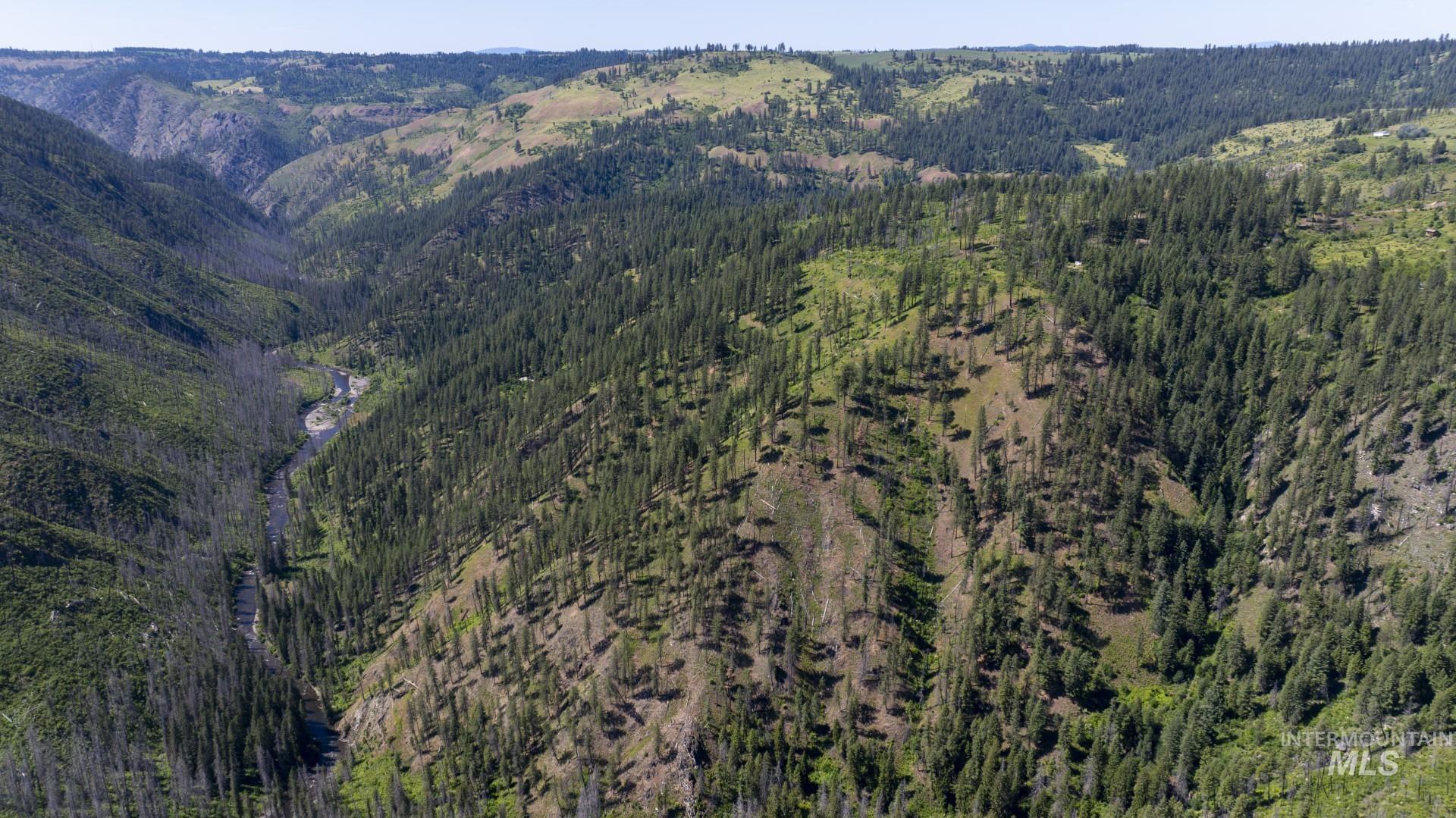 0 Forest Garden Ln, Parcel 4, Weippe, Idaho 83553, Land For Sale, Price $149,900, 98951008