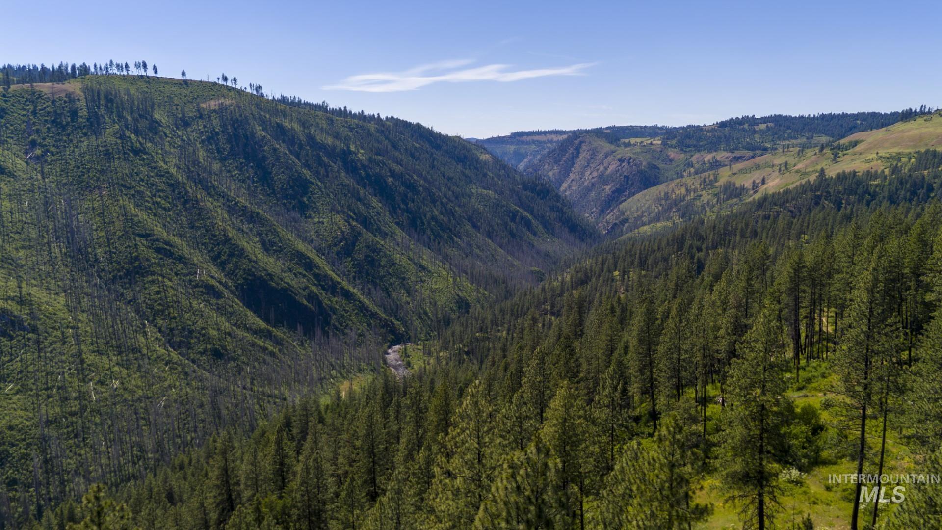 0 Forest Garden Ln, Parcel 4, Weippe, Idaho 83553, Land For Sale, Price $149,900, 98951008