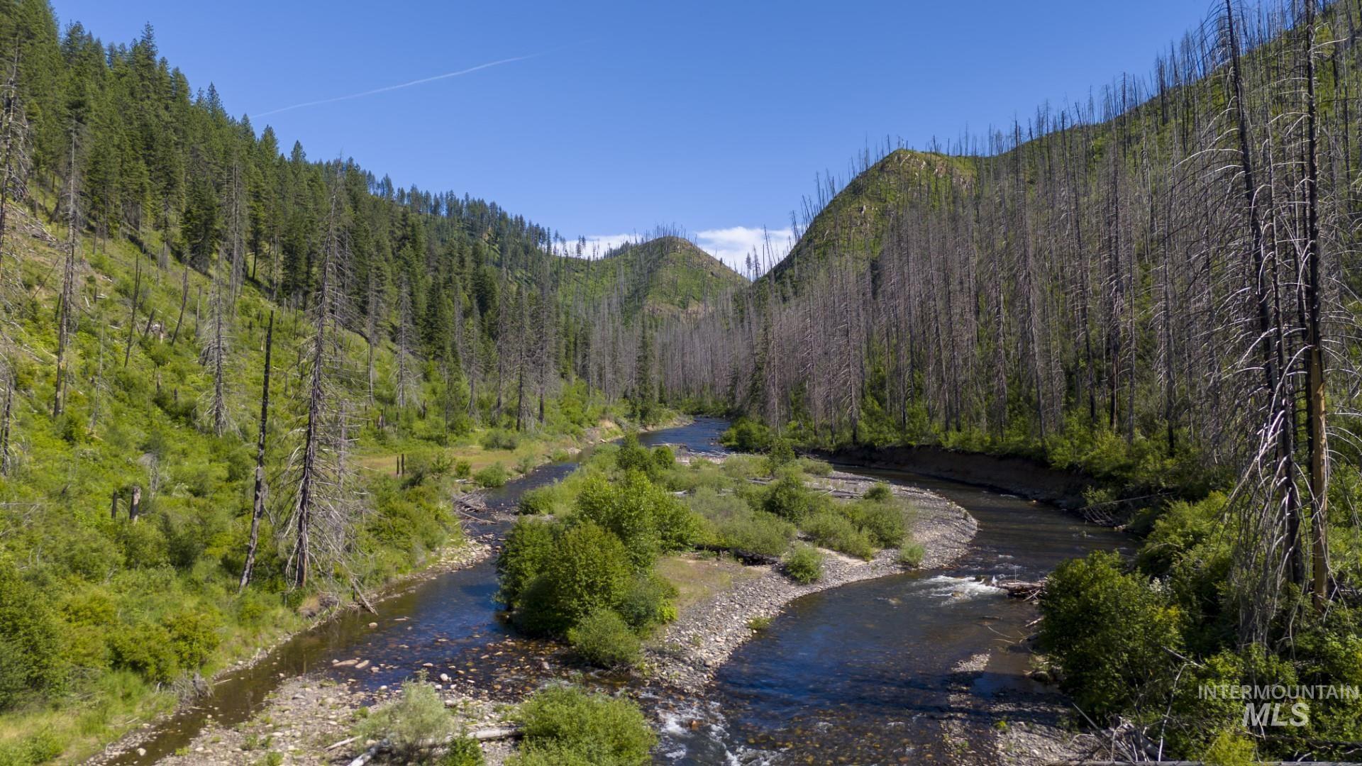 0 Forest Garden Ln, Parcel 4, Weippe, Idaho 83553, Land For Sale, Price $149,900, 98951008