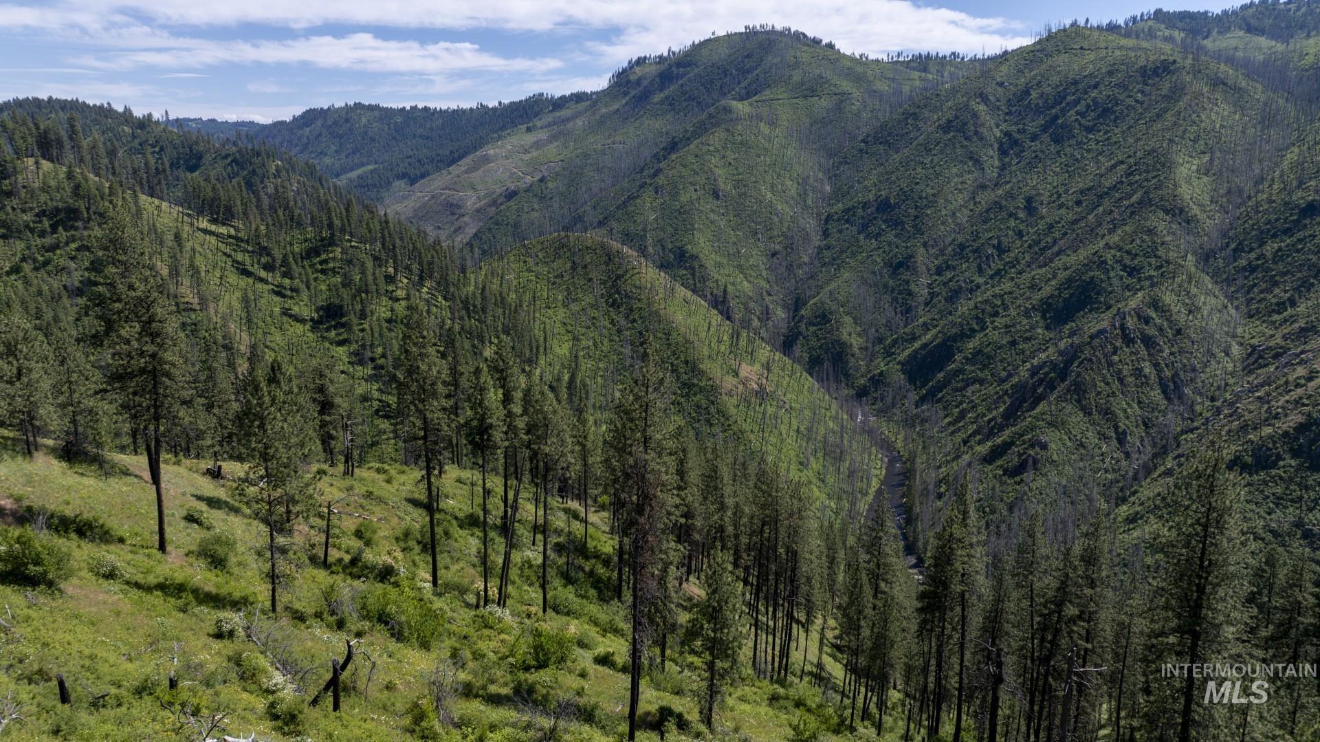 0 Forest Garden Ln, Parcel 7, Weippe, Idaho 83553, Land For Sale, Price $159,900, 98951012