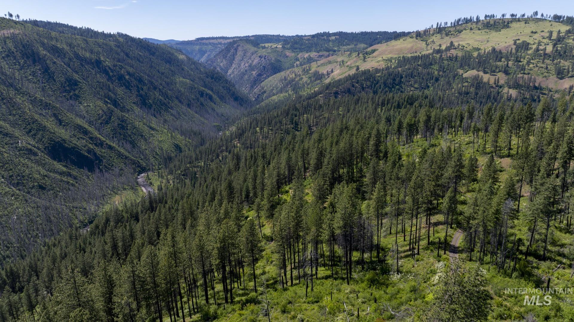 0 Forest Garden Ln, Parcel 7, Weippe, Idaho 83553, Land For Sale, Price $159,900, 98951012