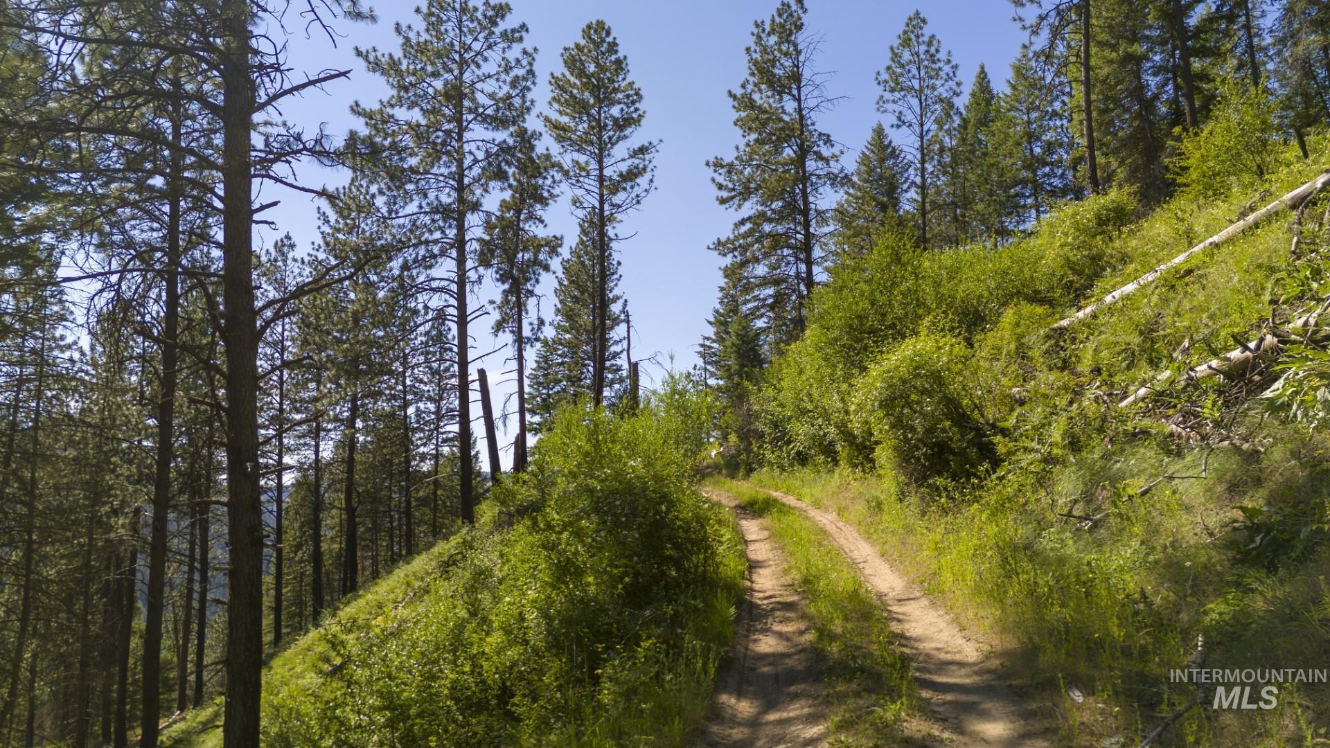 0 Forest Garden Ln, Parcel 7, Weippe, Idaho 83553, Land For Sale, Price $159,900, 98951012