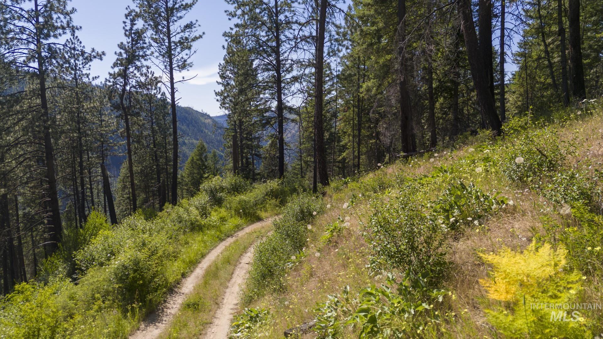 0 Forest Garden Ln, Parcel 7, Weippe, Idaho 83553, Land For Sale, Price $159,900, 98951012