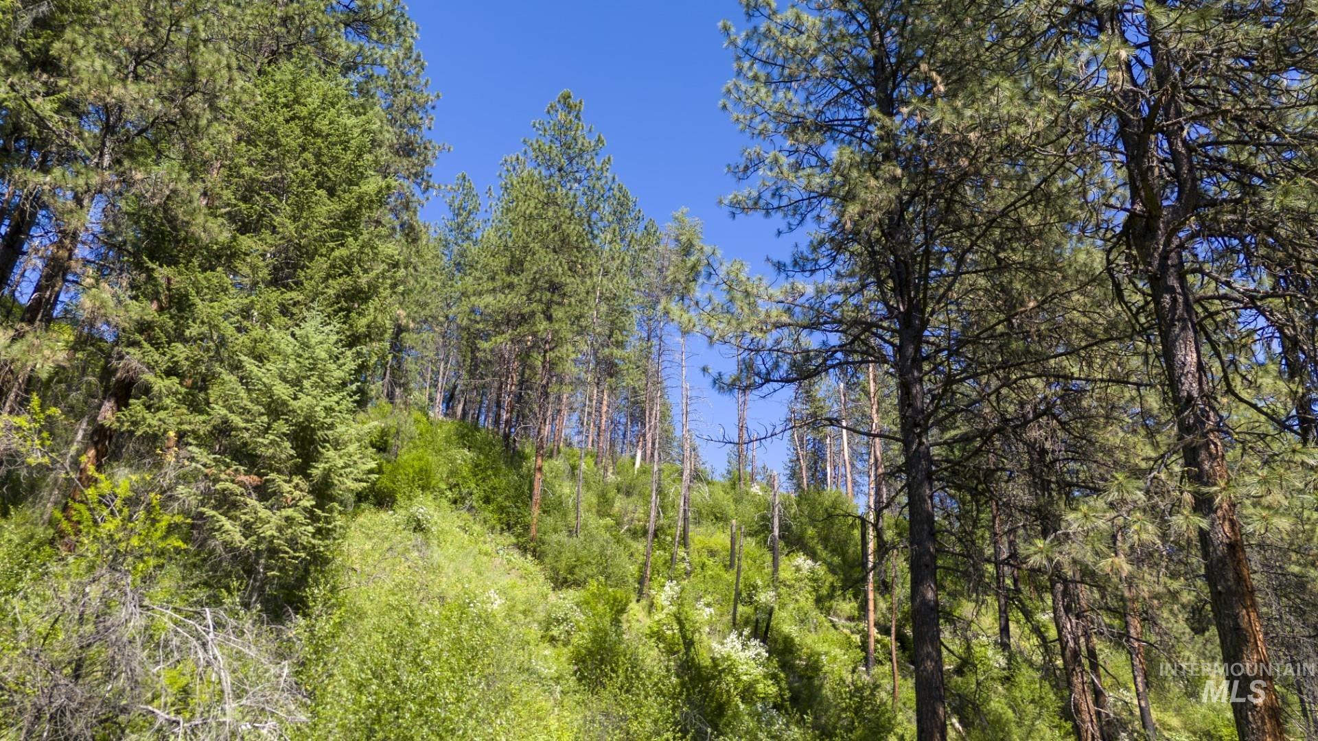 0 Forest Garden Ln, Parcel 7, Weippe, Idaho 83553, Land For Sale, Price $159,900, 98951012