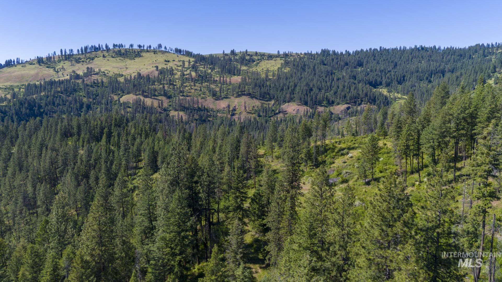 0 Forest Garden Ln, Parcel 7, Weippe, Idaho 83553, Land For Sale, Price $159,900, 98951012