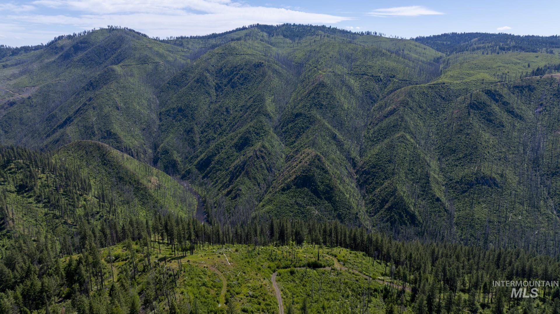 0 Forest Garden Ln, Parcel 7, Weippe, Idaho 83553, Land For Sale, Price $159,900, 98951012