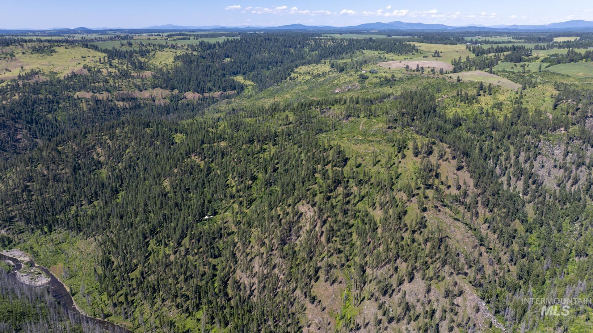 0 Forest Garden Ln, Parcel 7, Weippe, Idaho 83553, Land For Sale, Price $159,900, 98951012