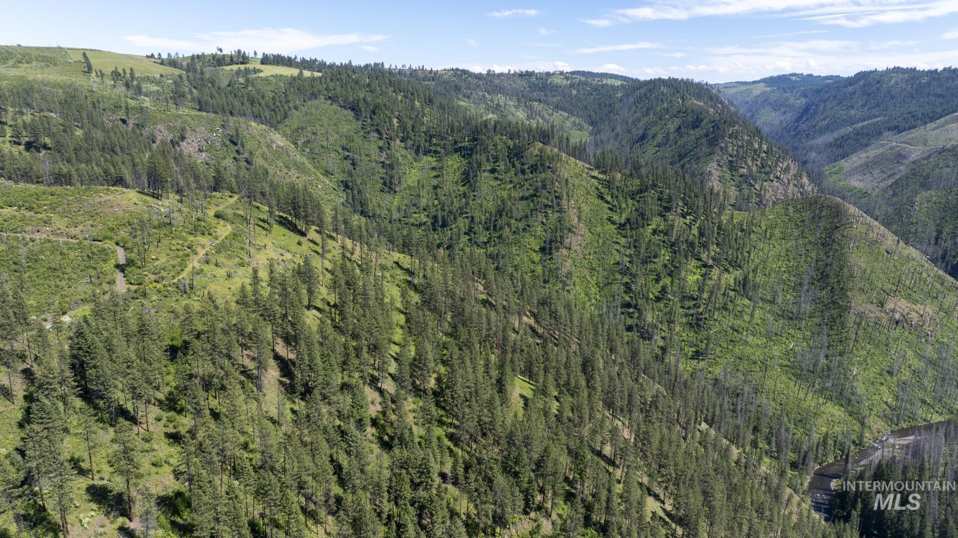 0 Forest Garden Ln, Parcel 7, Weippe, Idaho 83553, Land For Sale, Price $159,900, 98951012