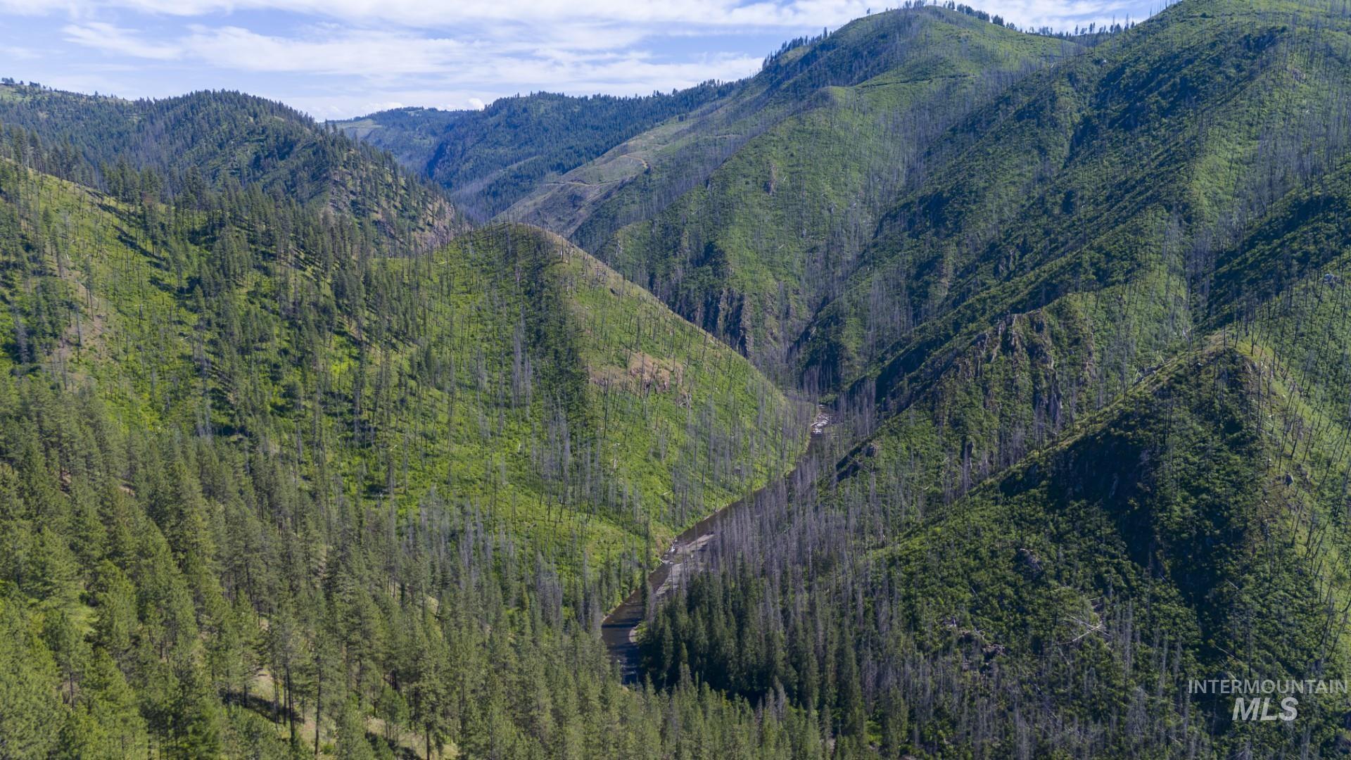 0 Forest Garden Ln, Parcel 7, Weippe, Idaho 83553, Land For Sale, Price $159,900, 98951012