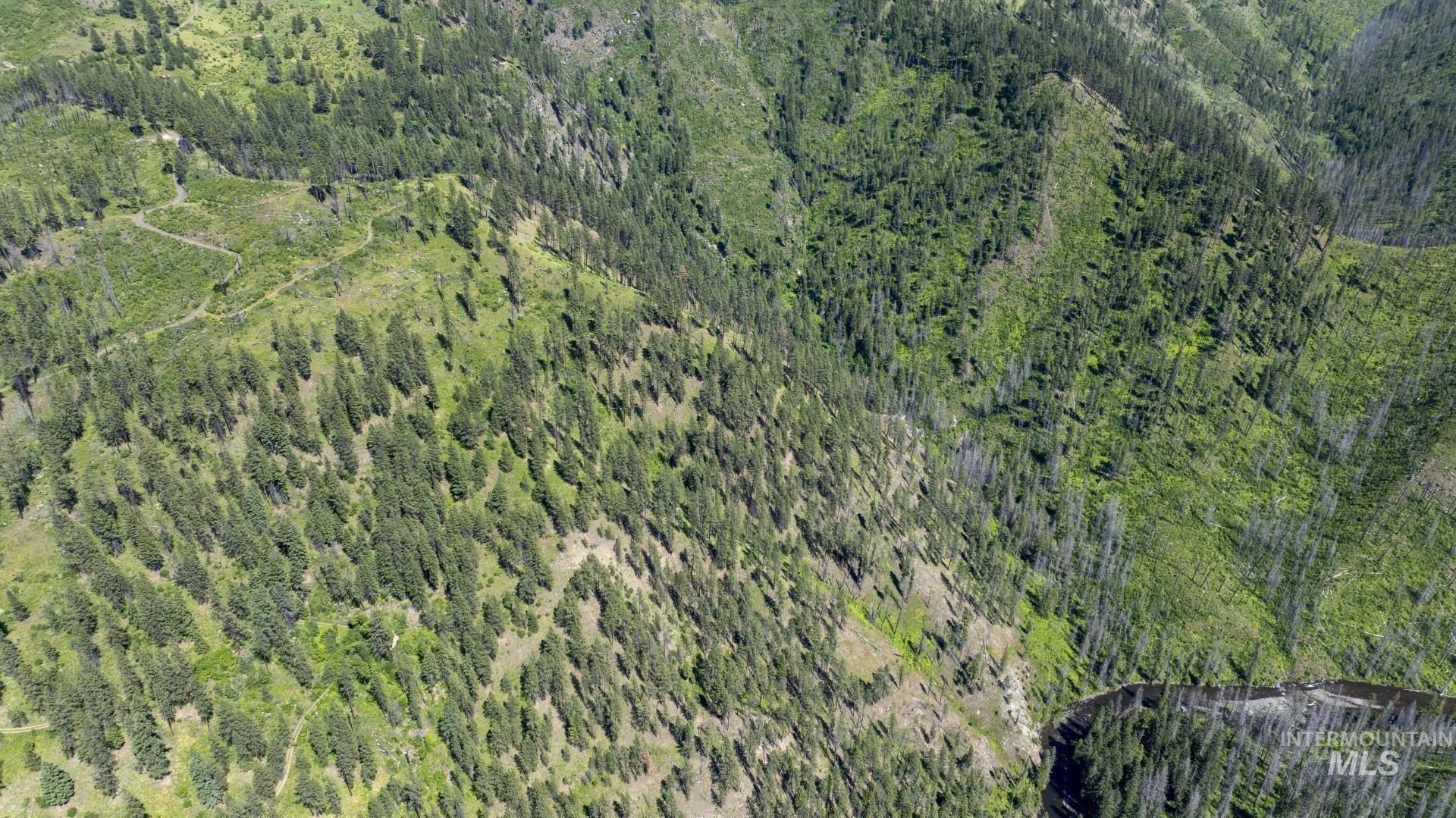 0 Forest Garden Ln, Parcel 7, Weippe, Idaho 83553, Land For Sale, Price $159,900, 98951012