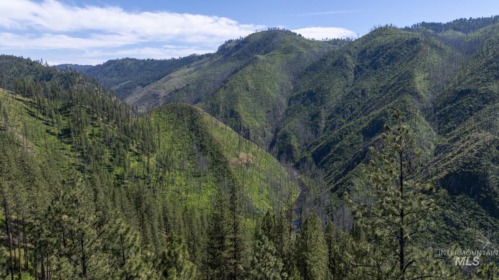 0 Forest Garden Ln, Parcel 7, Weippe, Idaho 83553, Land For Sale, Price $159,900, 98951012