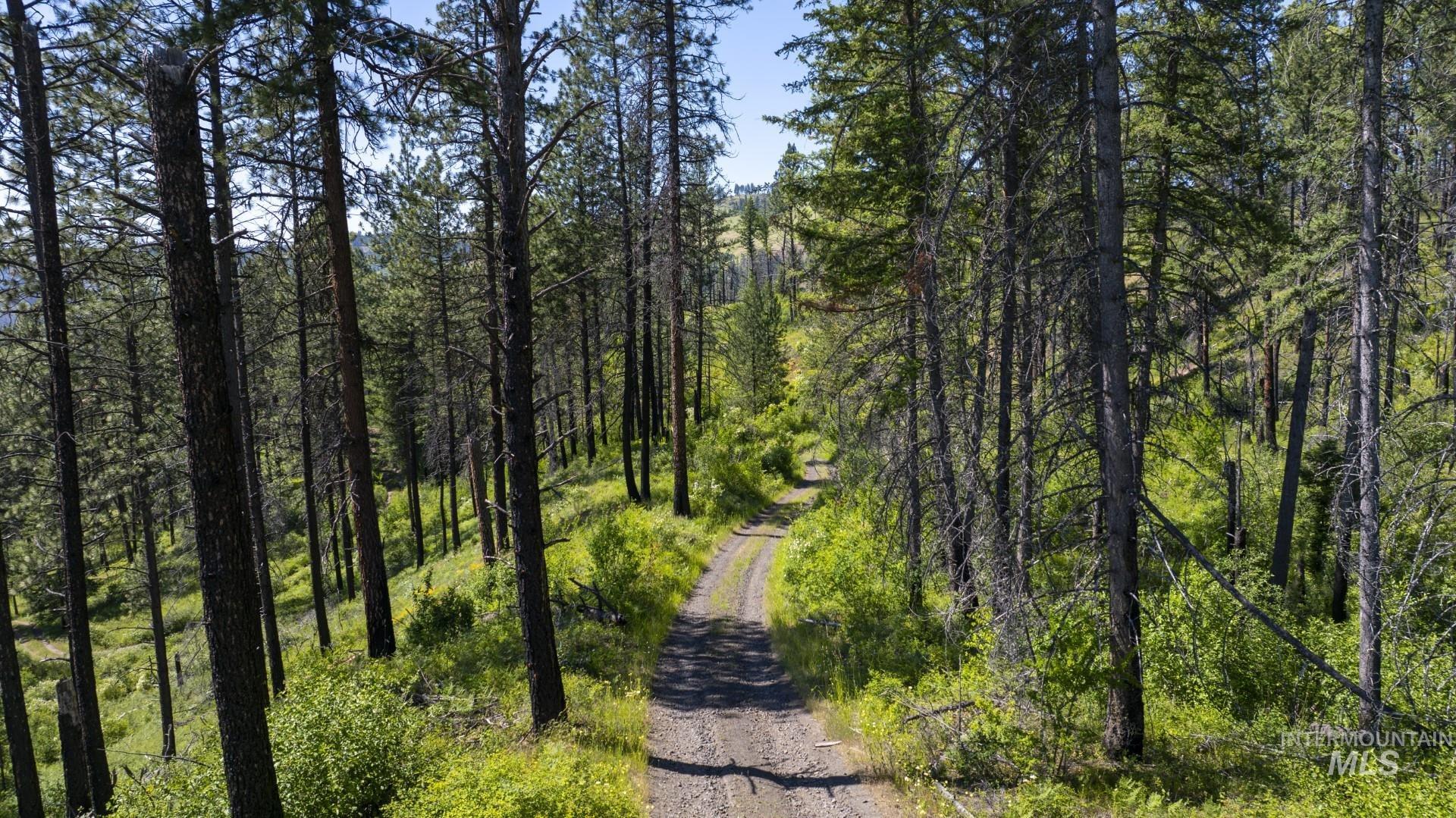 0 Forest Garden Ln, Parcel 7, Weippe, Idaho 83553, Land For Sale, Price $159,900, 98951012