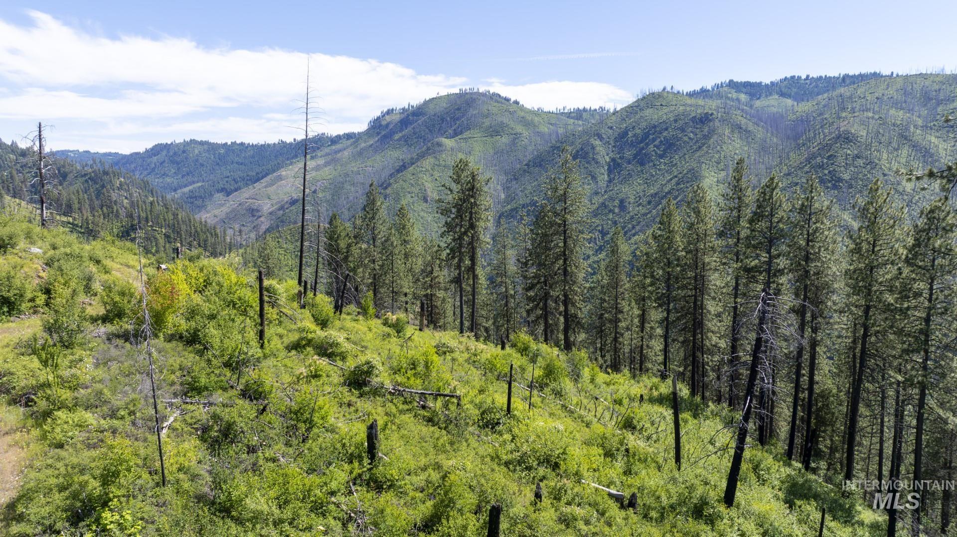 0 Forest Garden Ln, Parcel 7, Weippe, Idaho 83553, Land For Sale, Price $159,900, 98951012