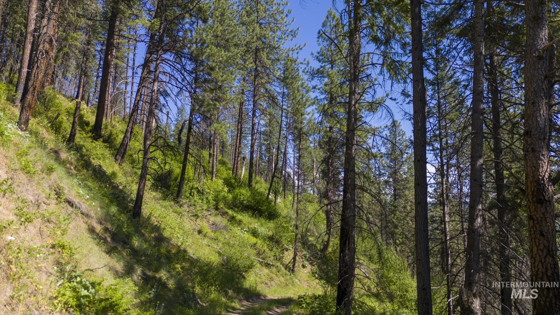 0 Forest Garden Ln, Parcel 7, Weippe, Idaho 83553, Land For Sale, Price $159,900, 98951012